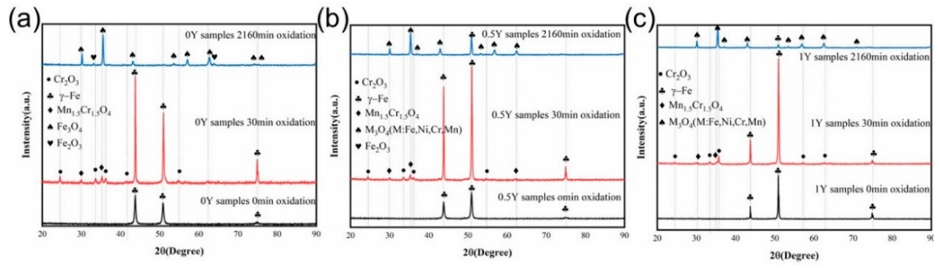 Preprints 91370 g004