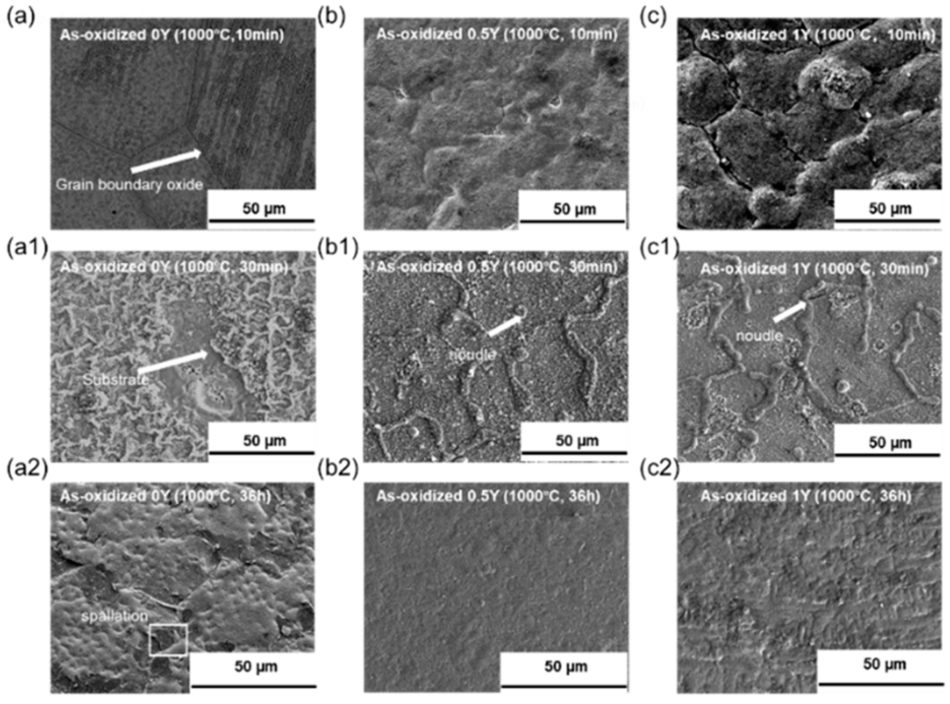 Preprints 91370 g005