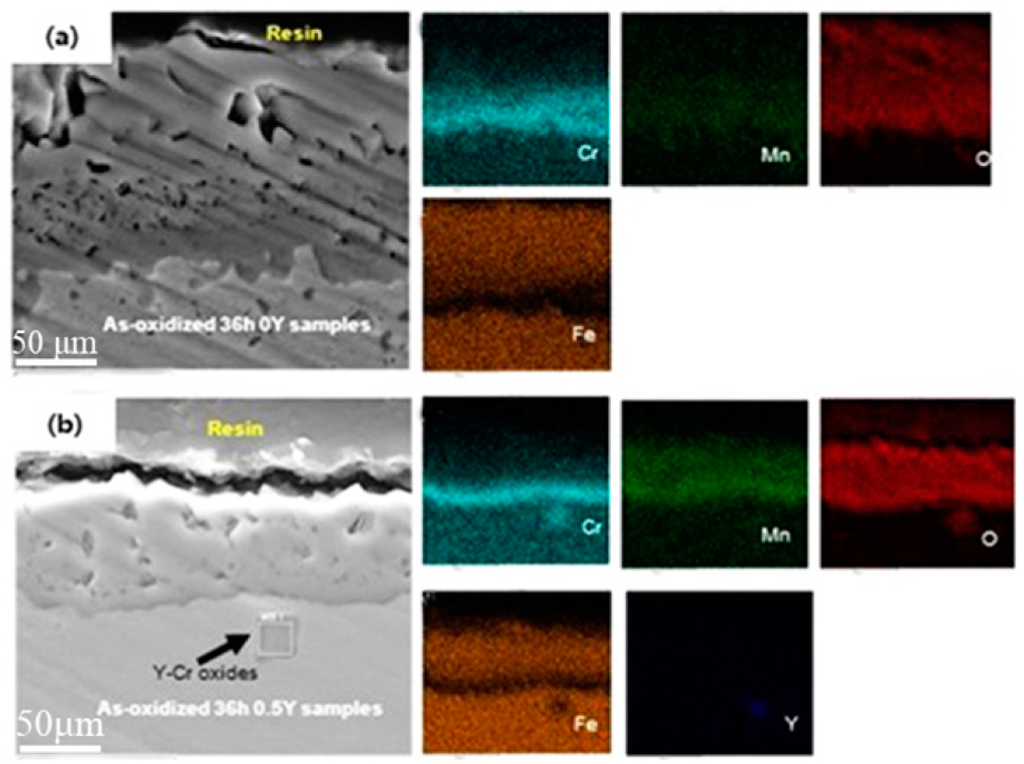 Preprints 91370 g006