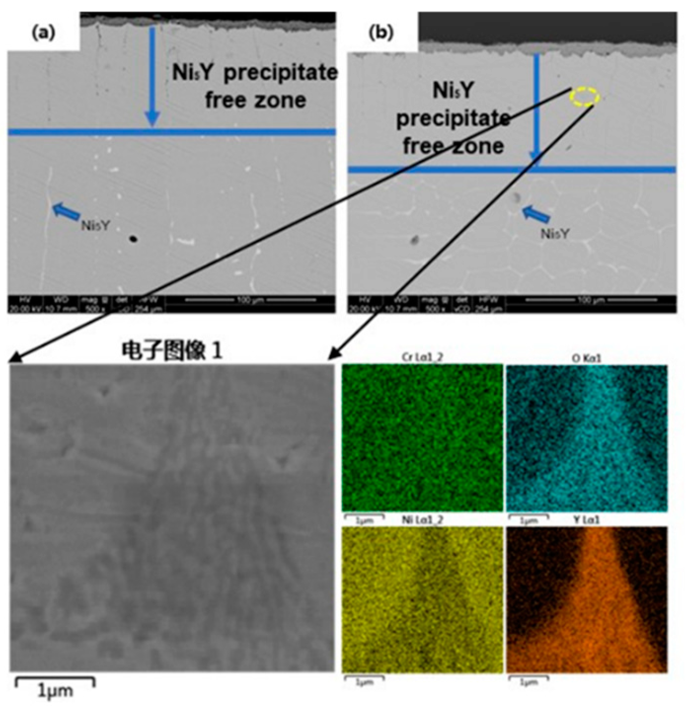Preprints 91370 g007