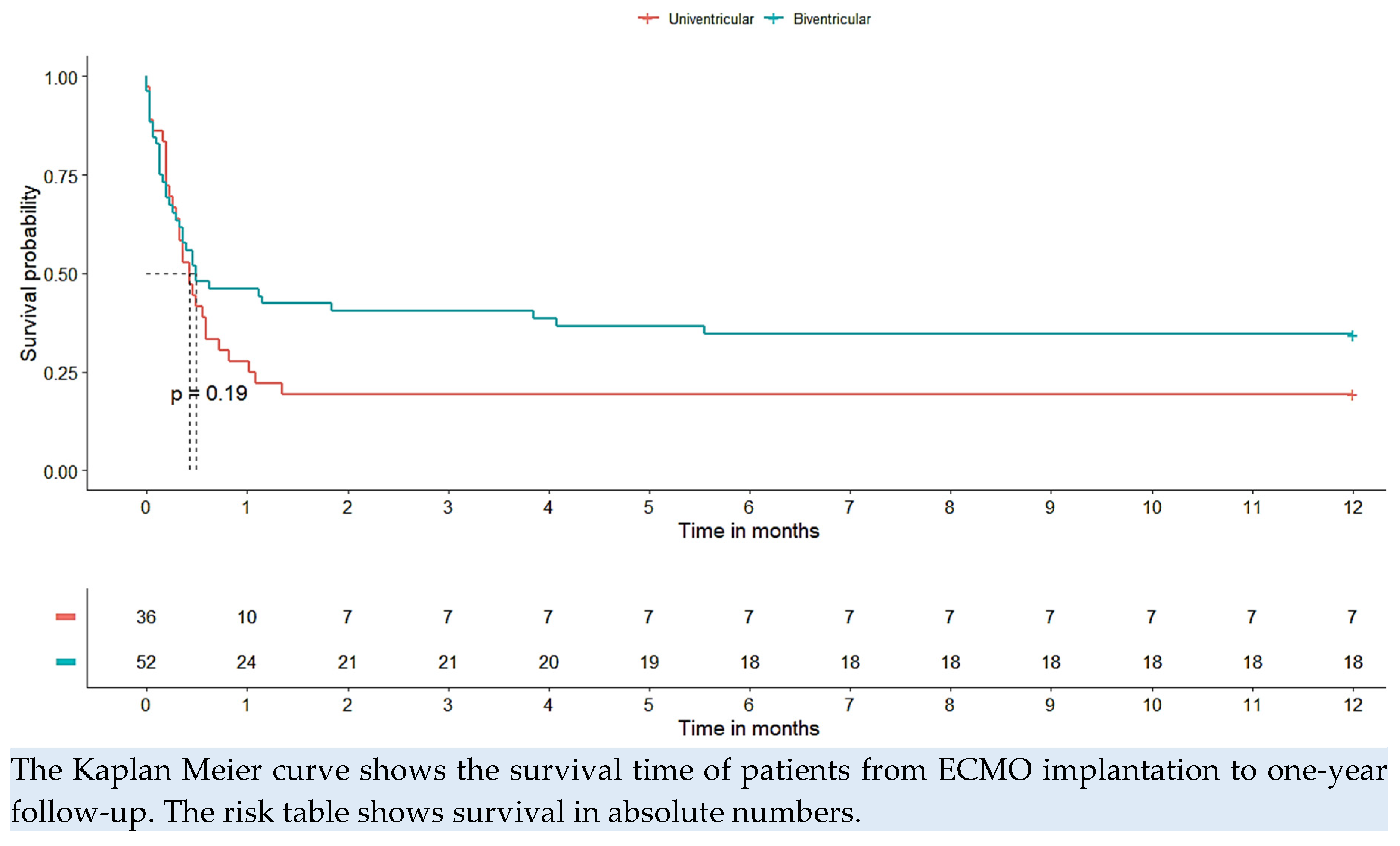 Preprints 78035 g002
