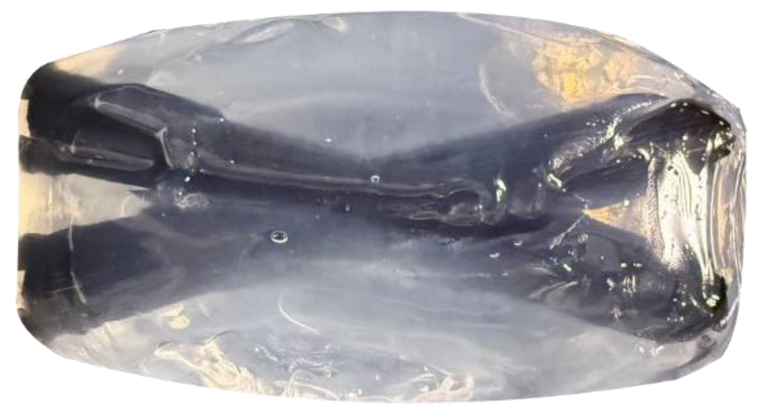 Preprints 189218 g006