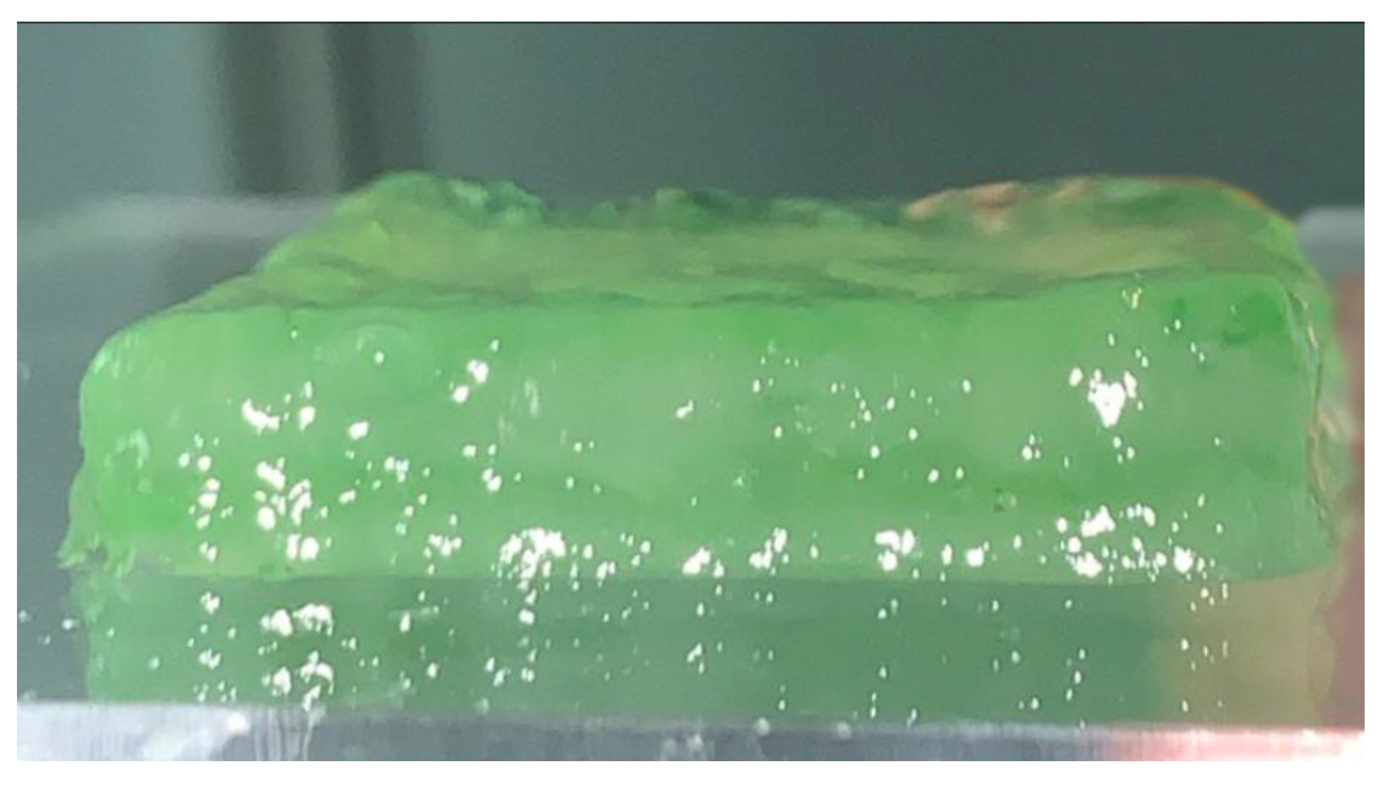 Preprints 189218 g008