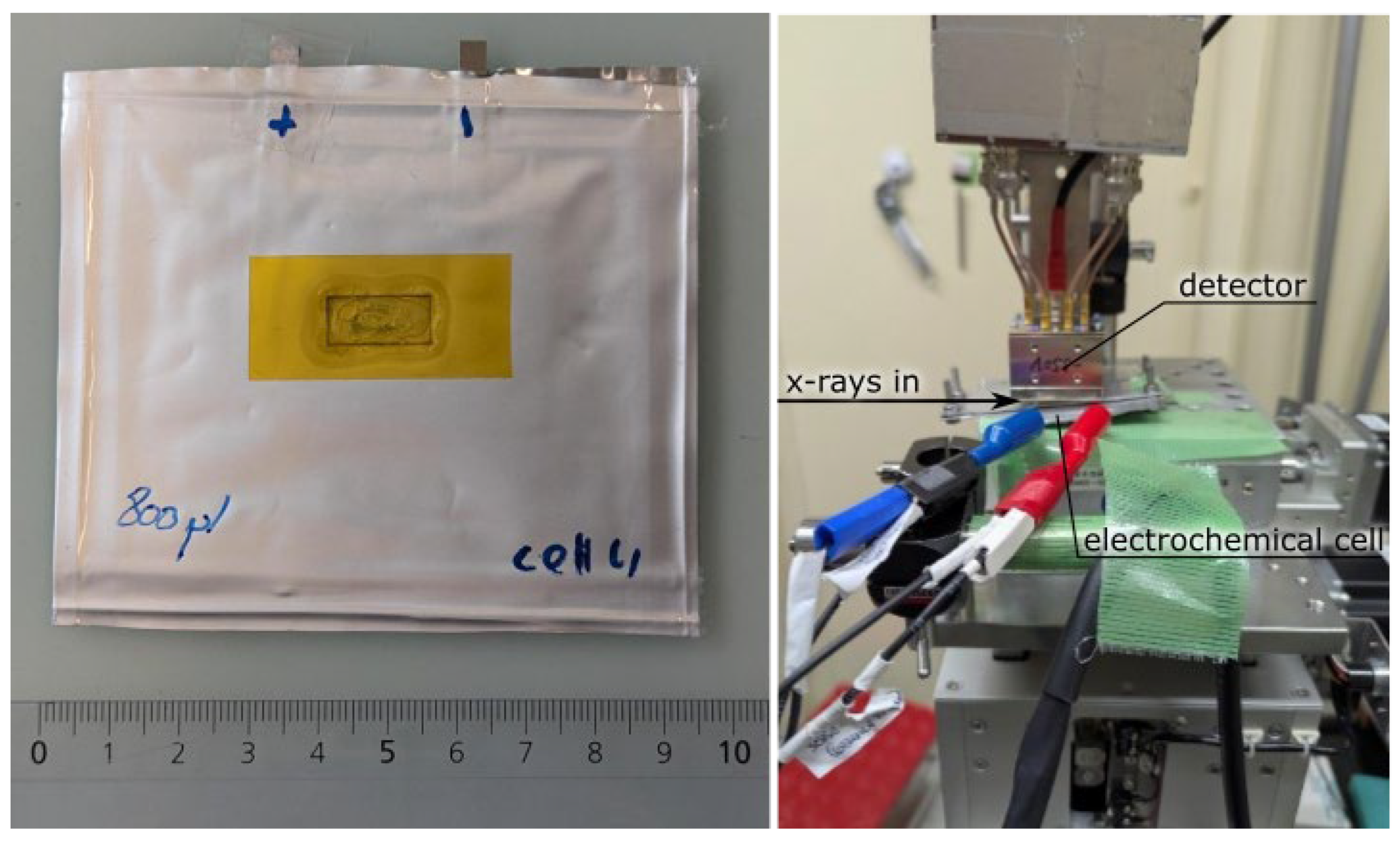 Preprints 176195 g002