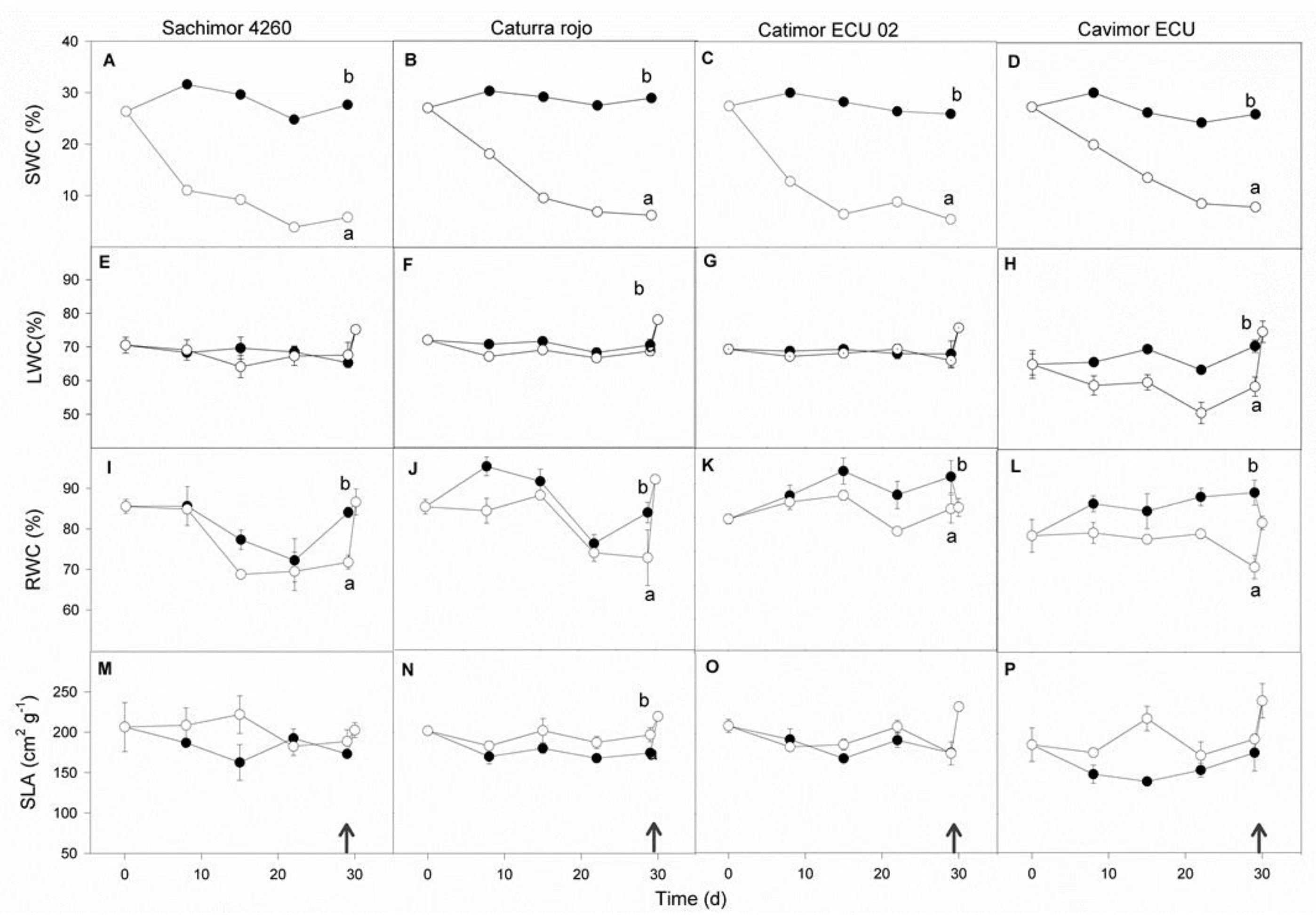 Preprints 111798 g002