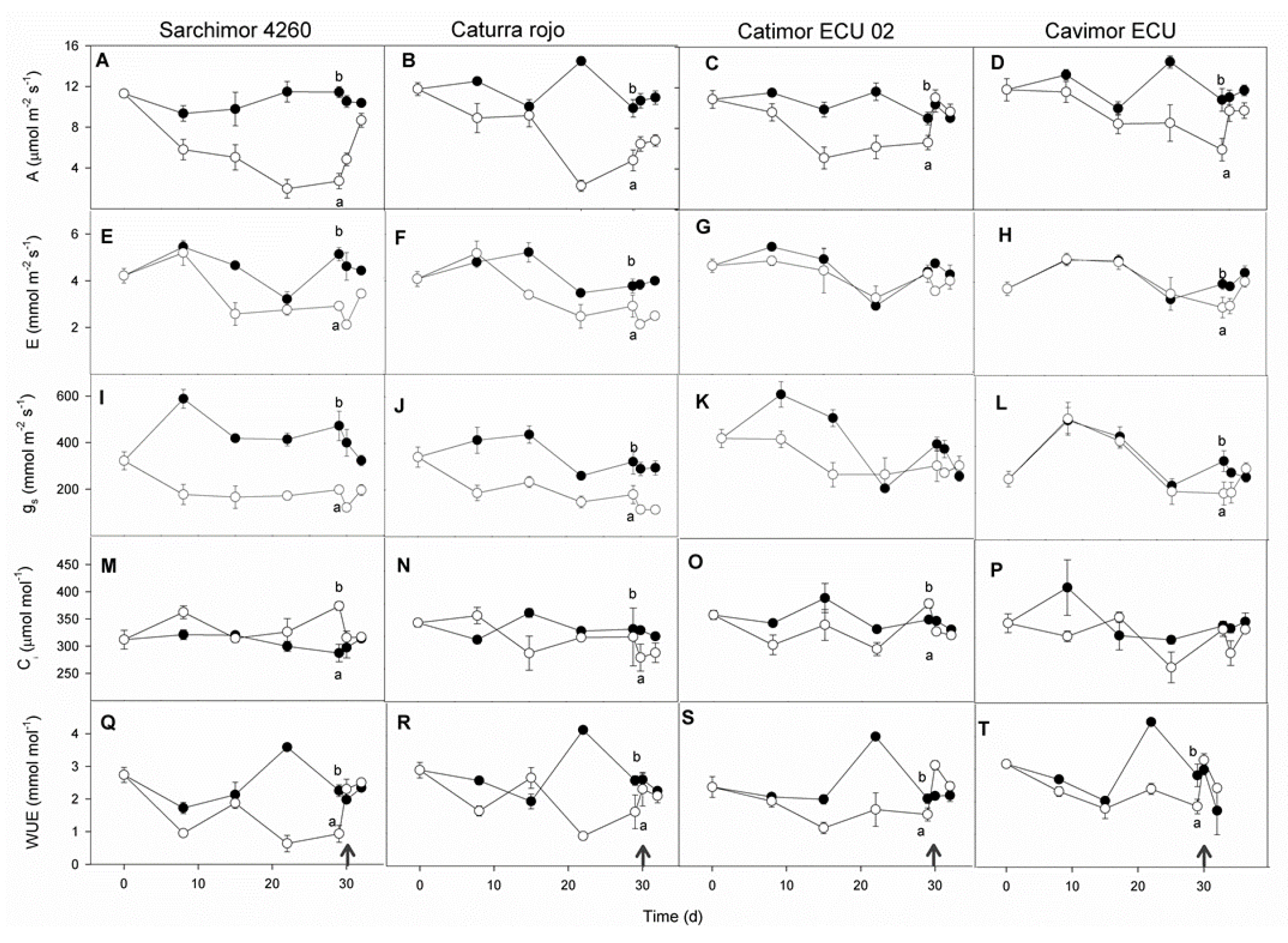 Preprints 111798 g003