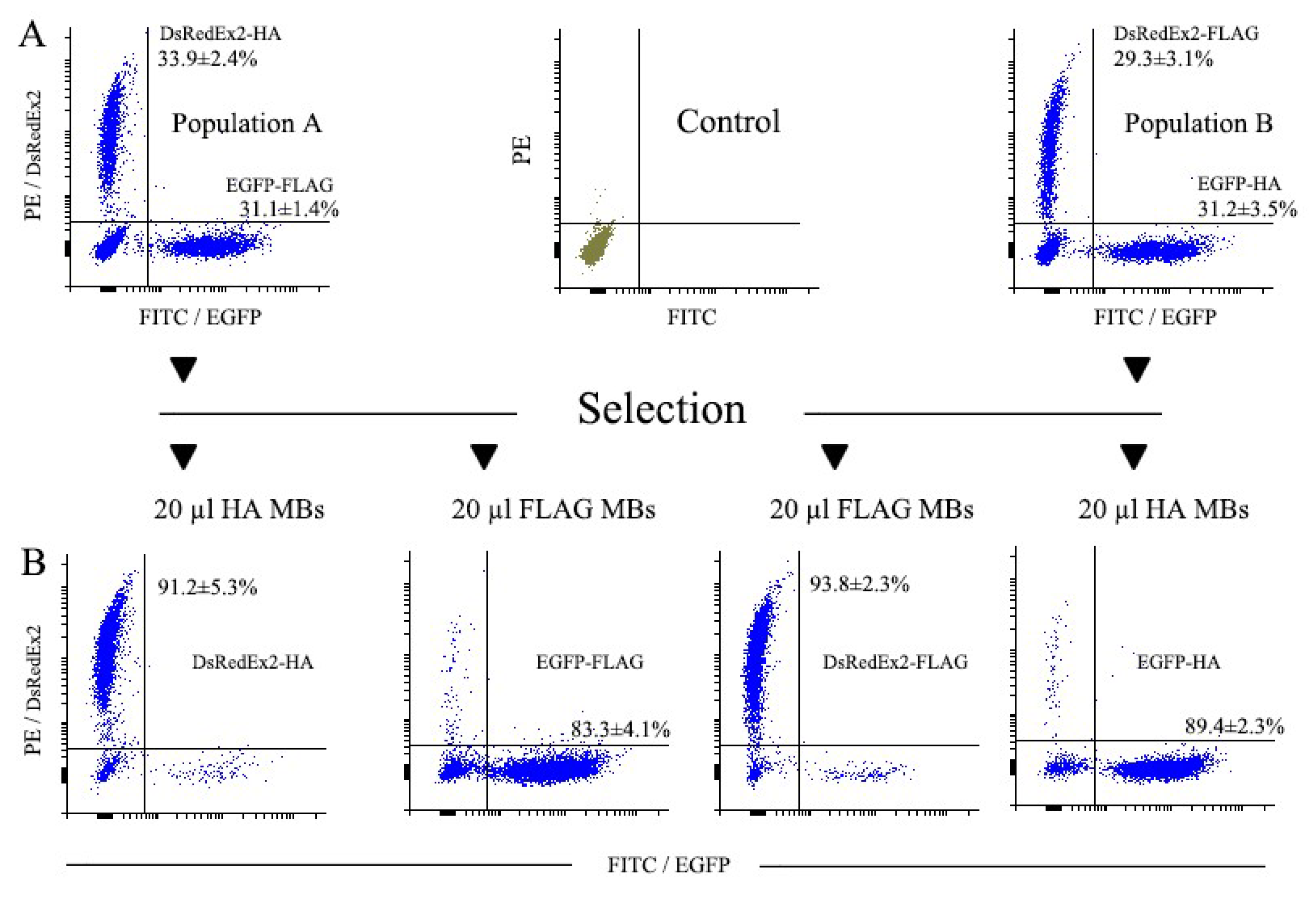 Preprints 105844 g003