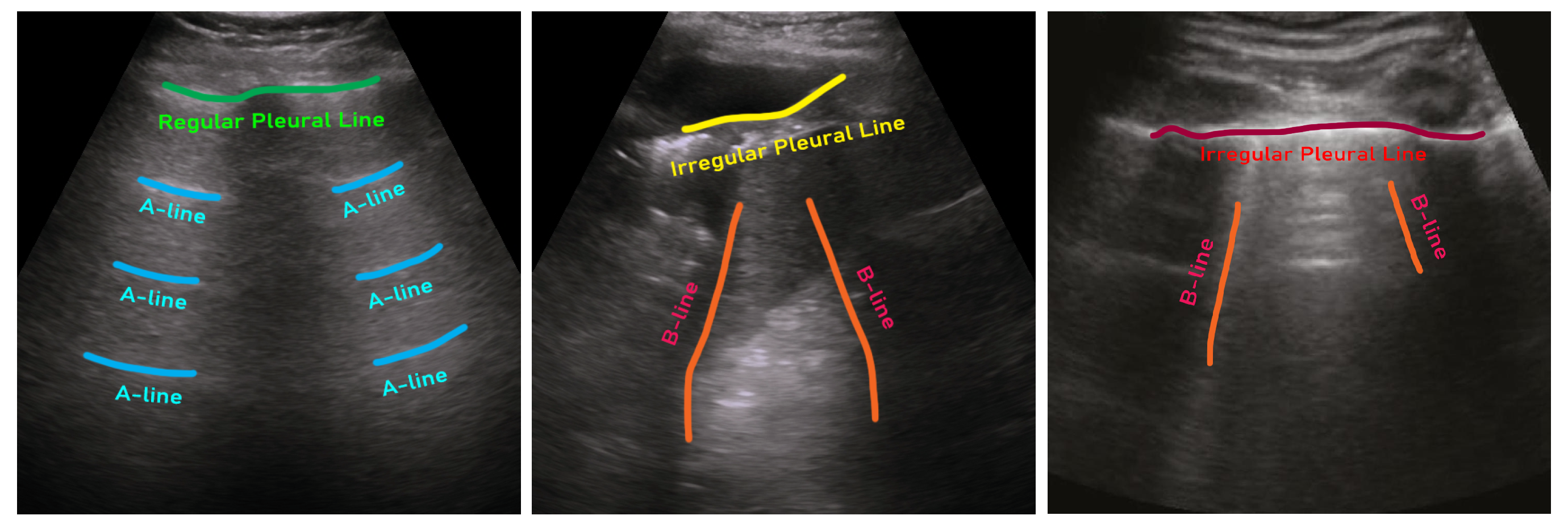 Preprints 69862 g001