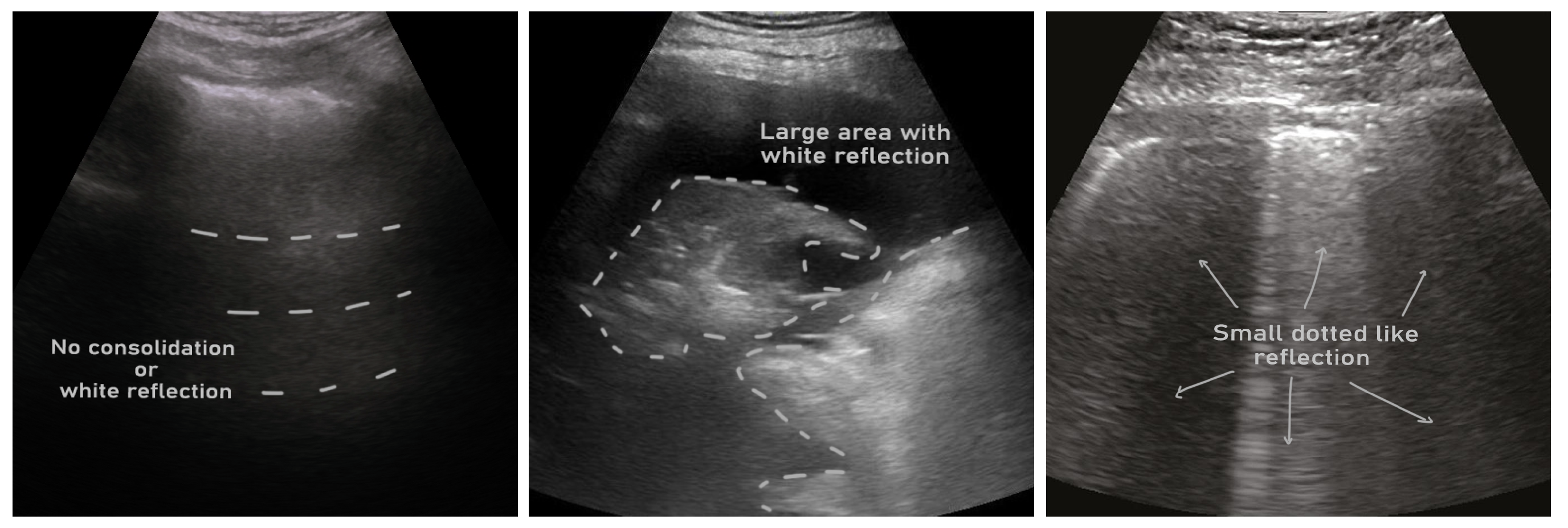 Preprints 69862 g002