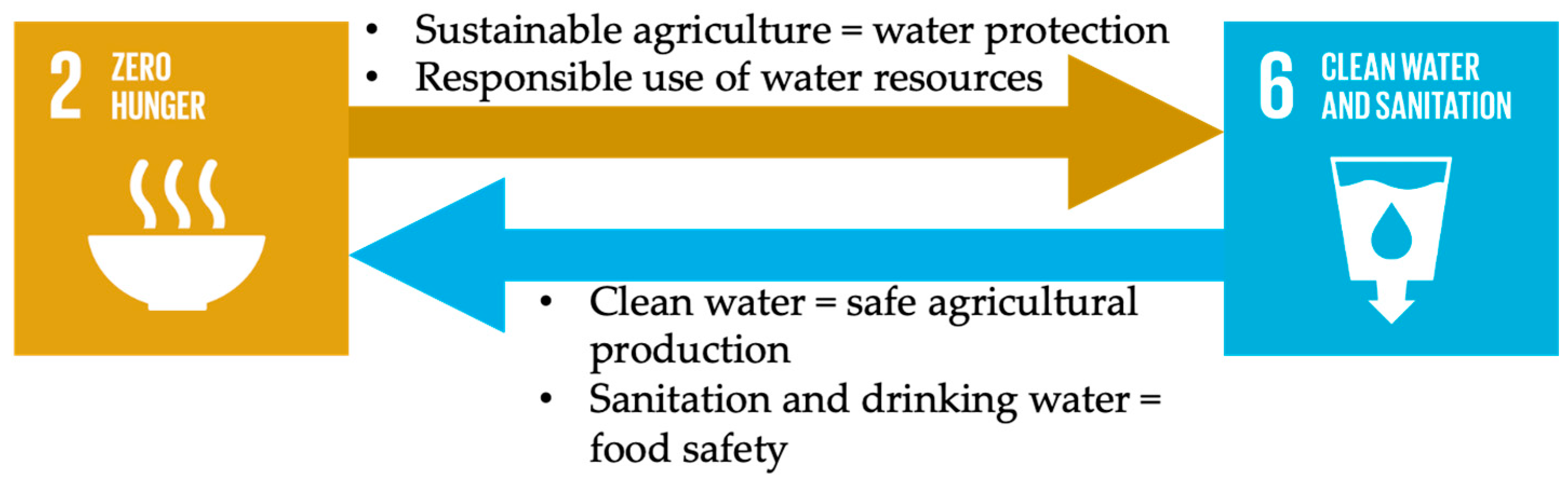 Preprints 156089 g006