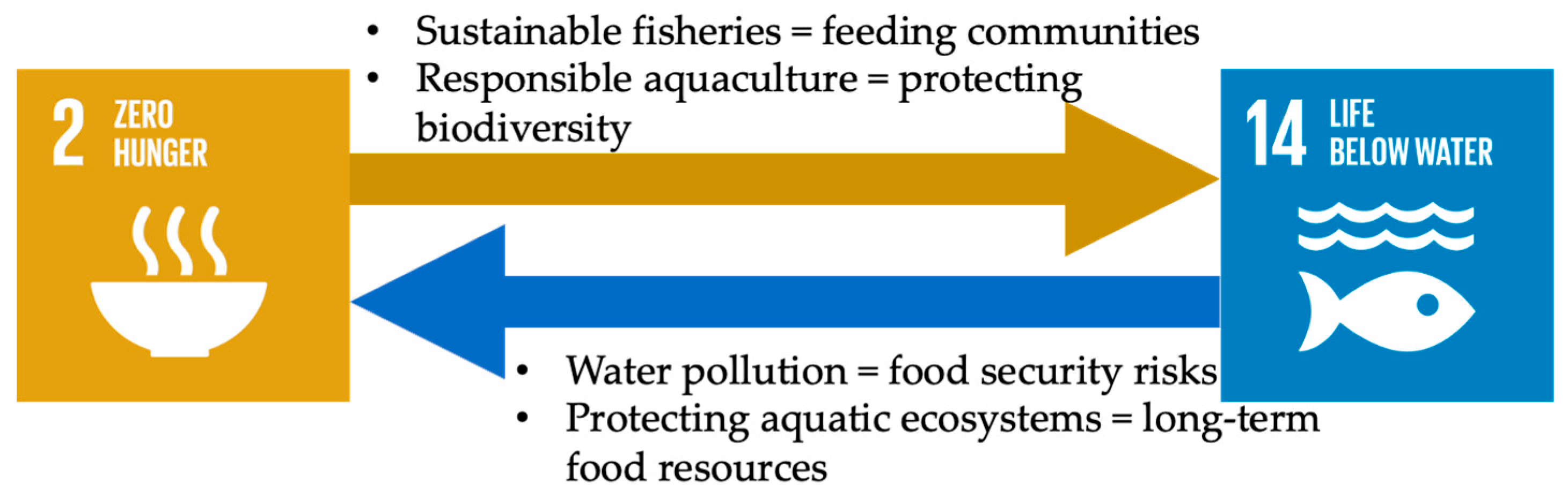 Preprints 156089 g014