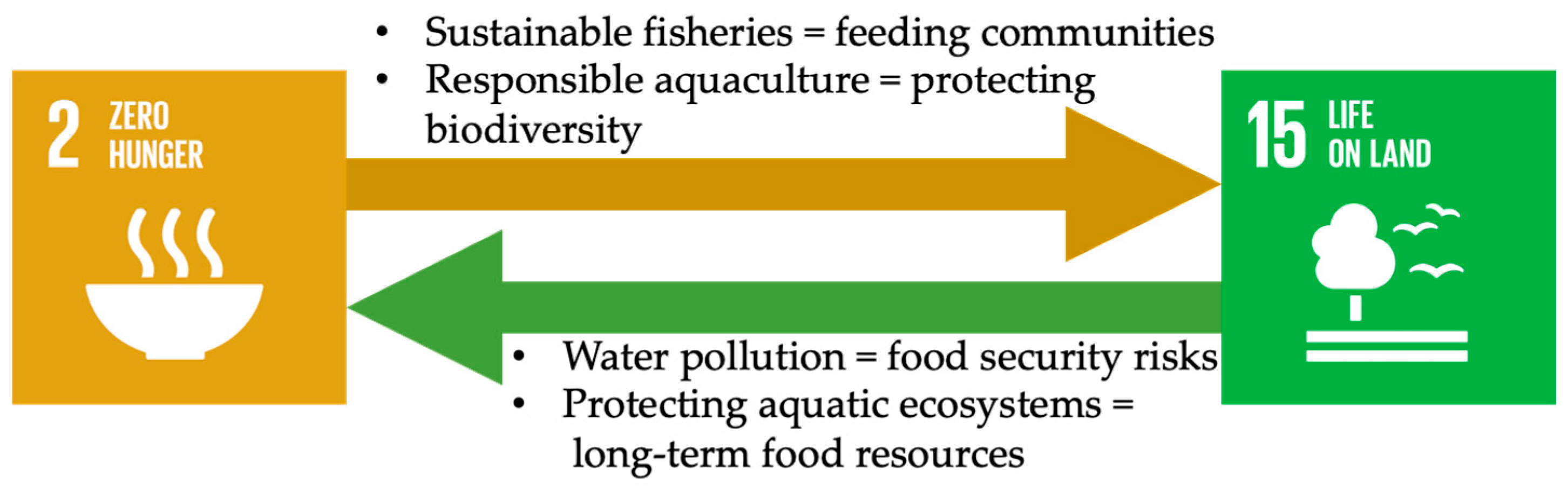 Preprints 156089 g015