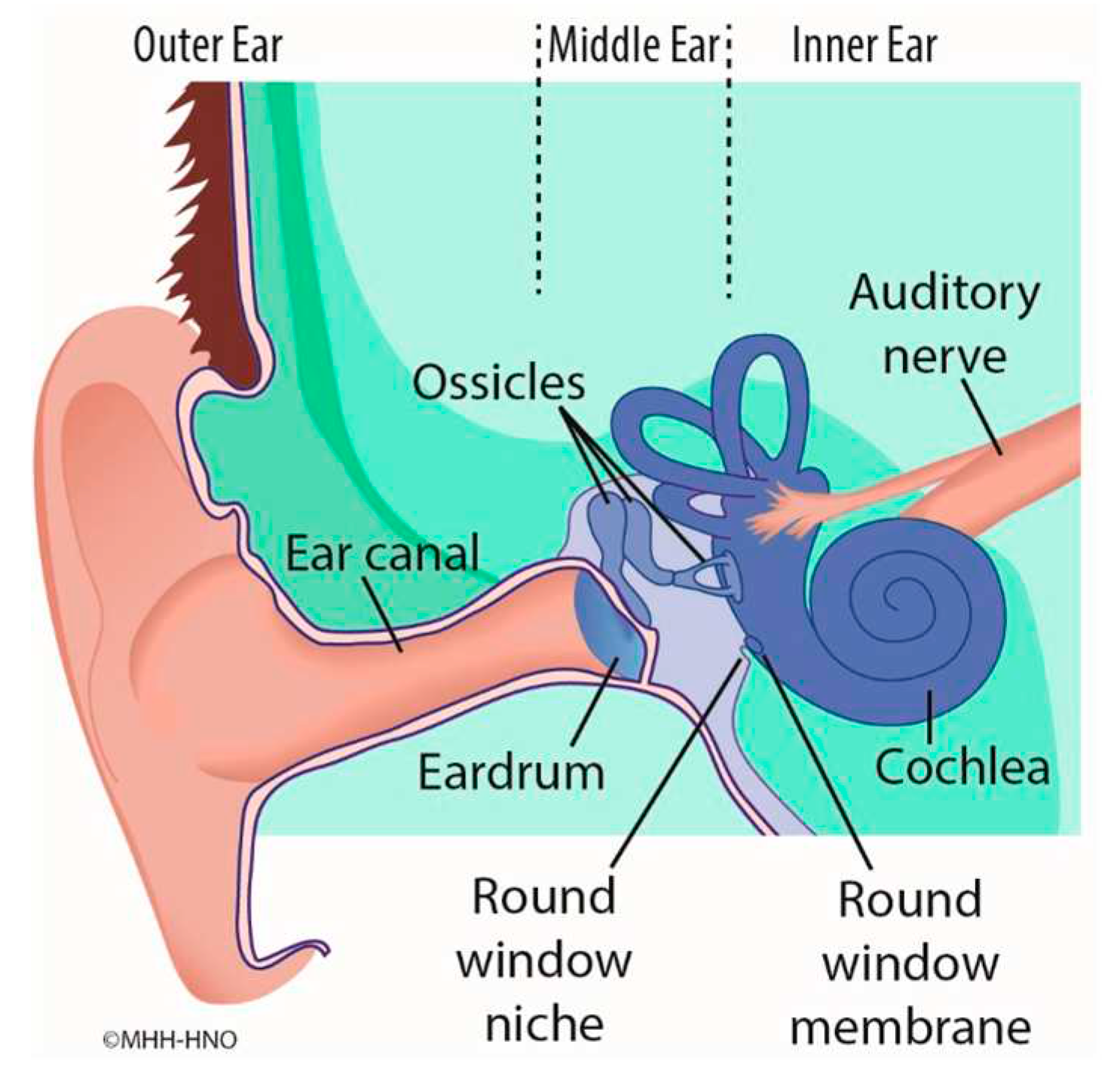 Preprints 71277 g001