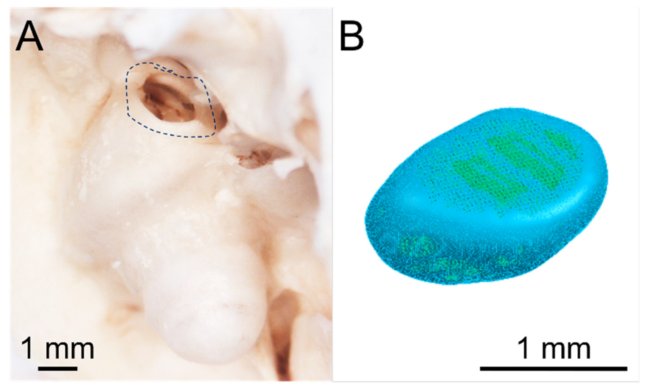 Preprints 71277 g002