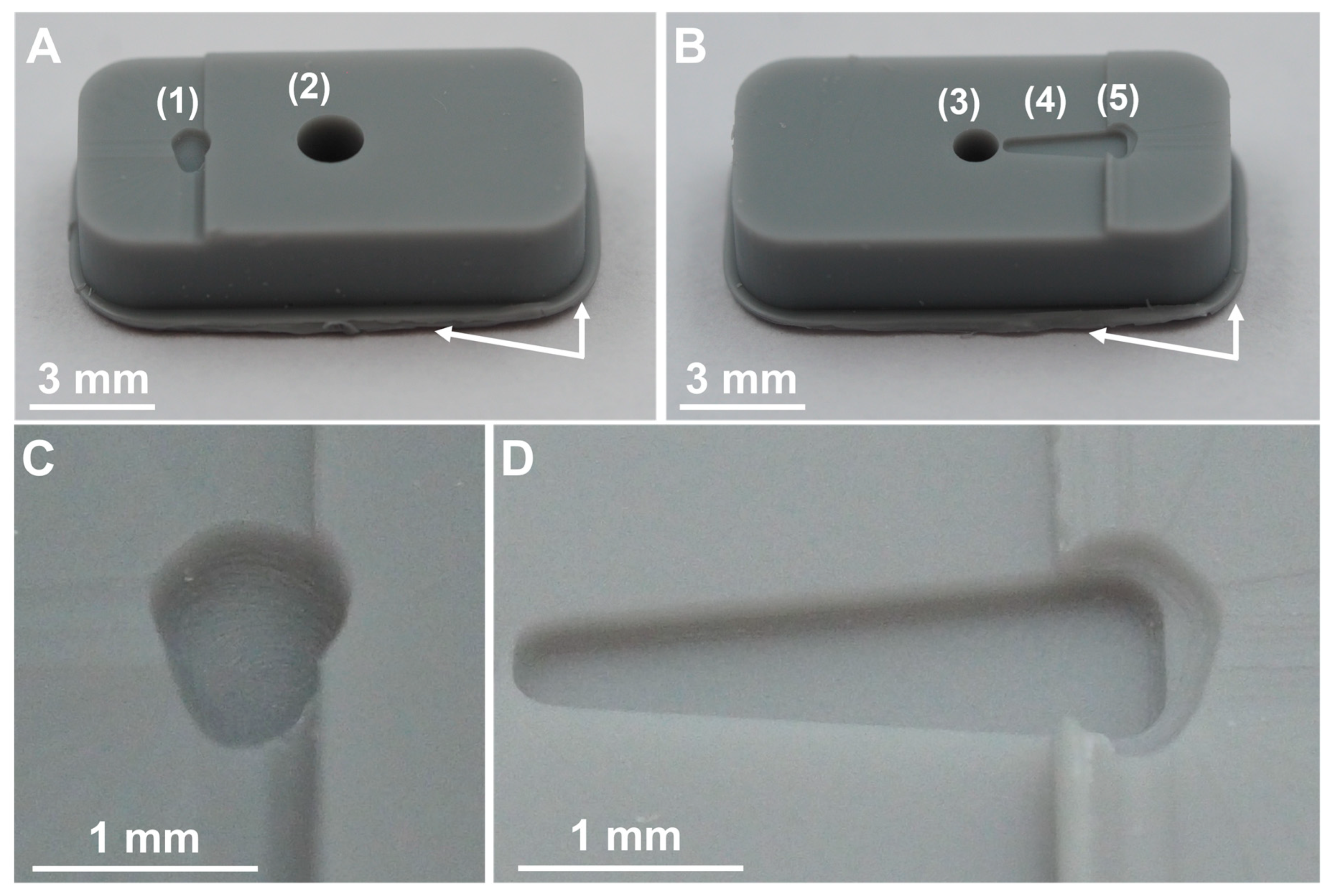 Preprints 71277 g006