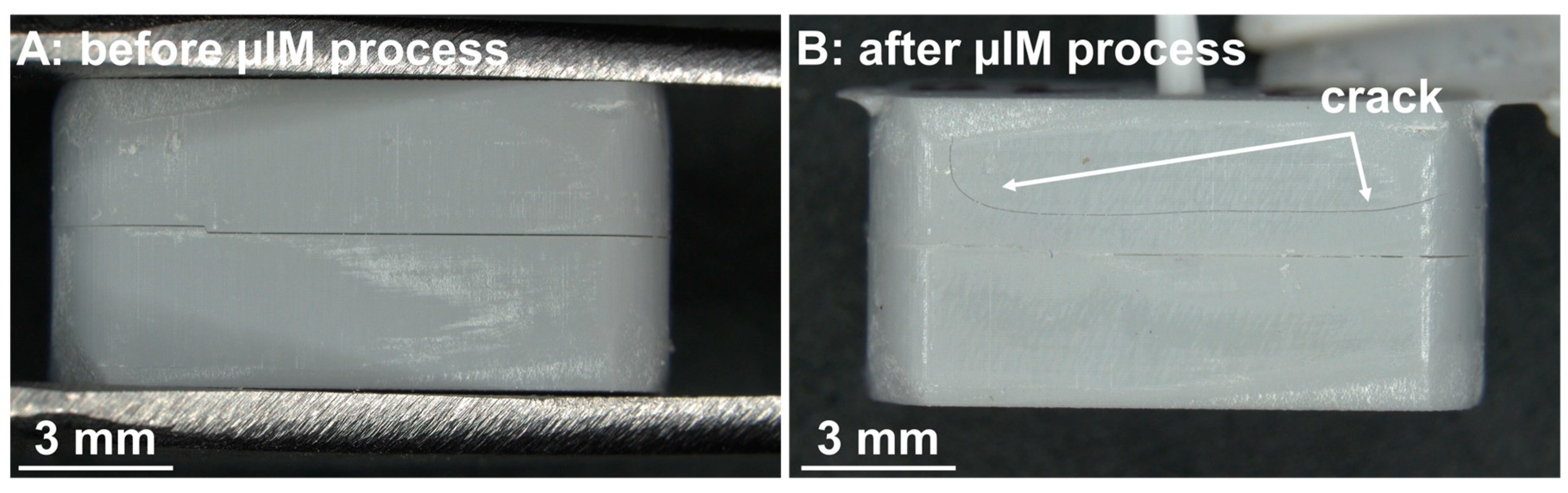 Preprints 71277 g007
