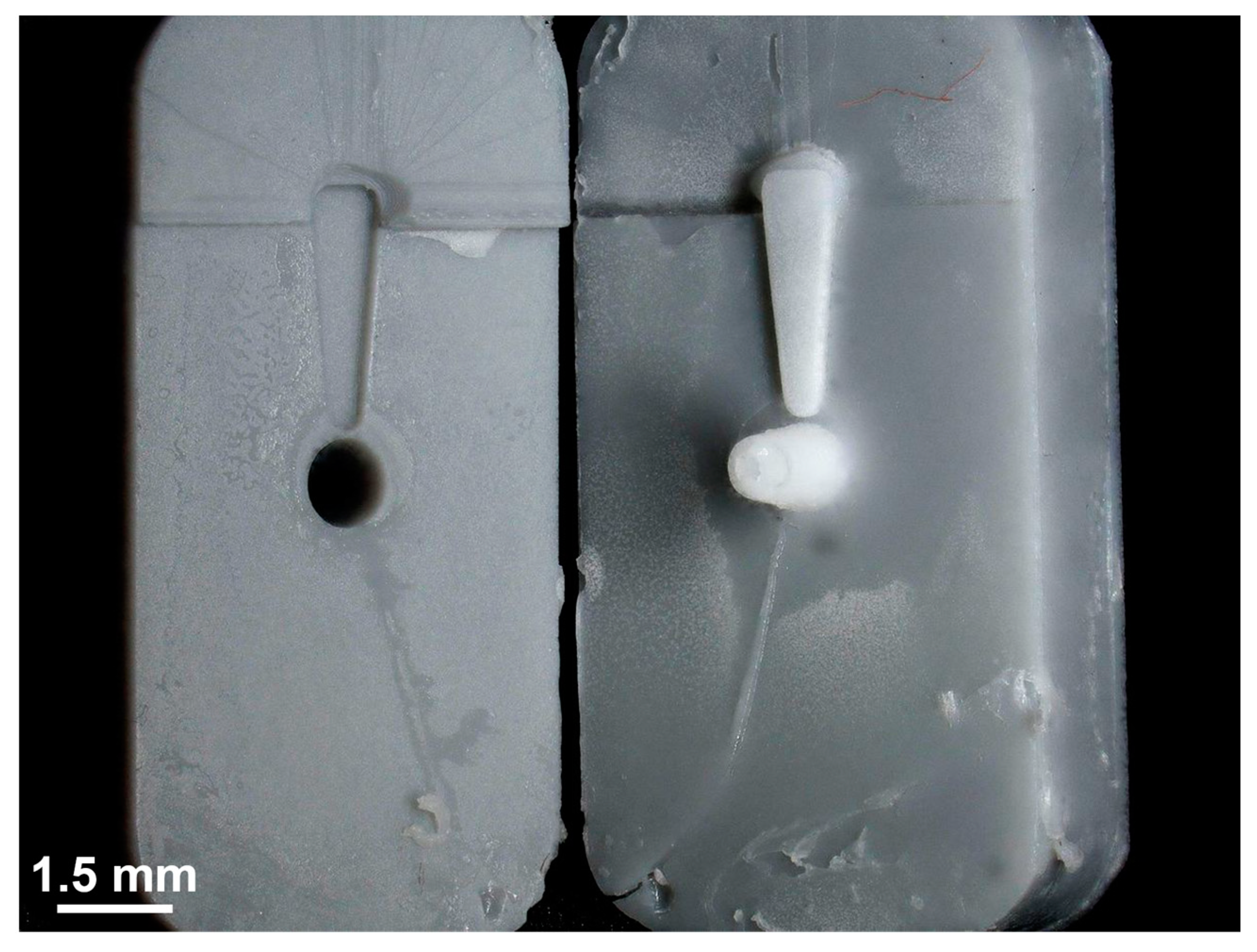 Preprints 71277 g008