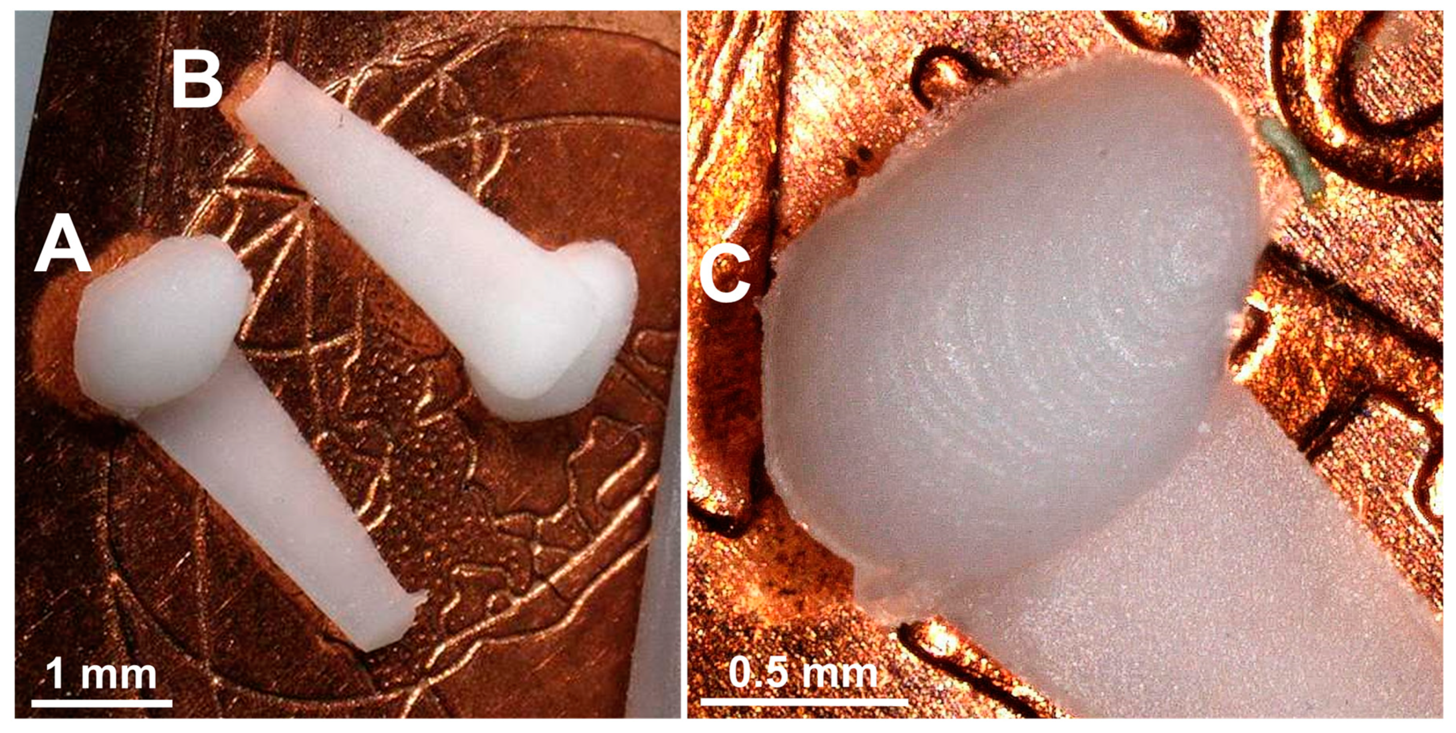Preprints 71277 g009
