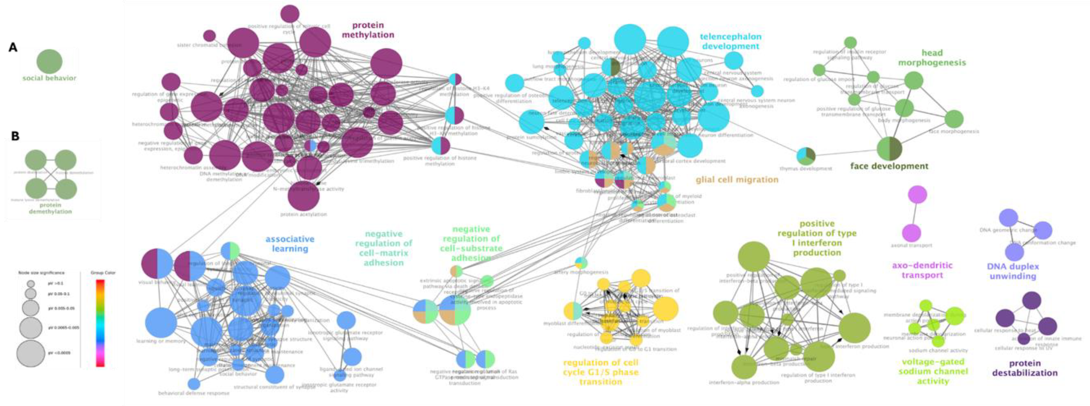 Preprints 141574 g003