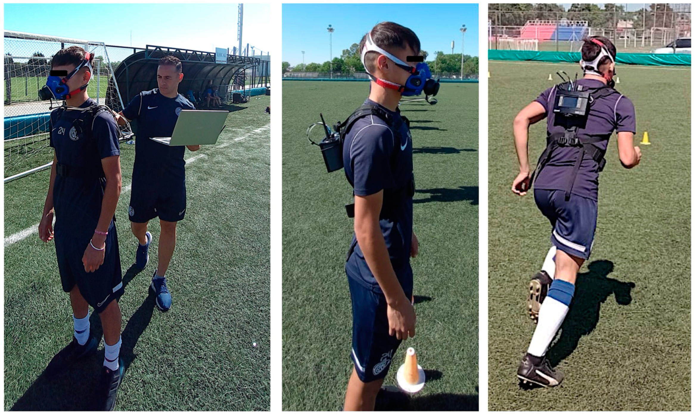 Preprints 137424 g001