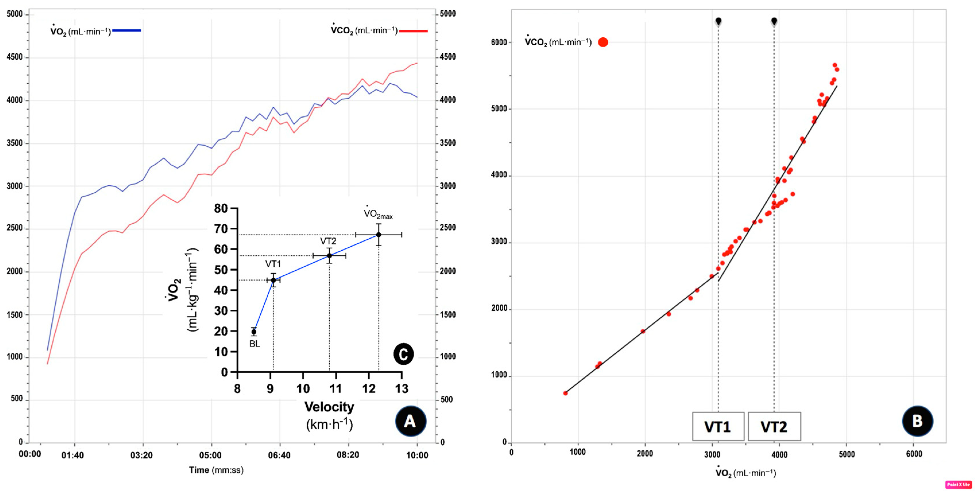 Preprints 137424 g002