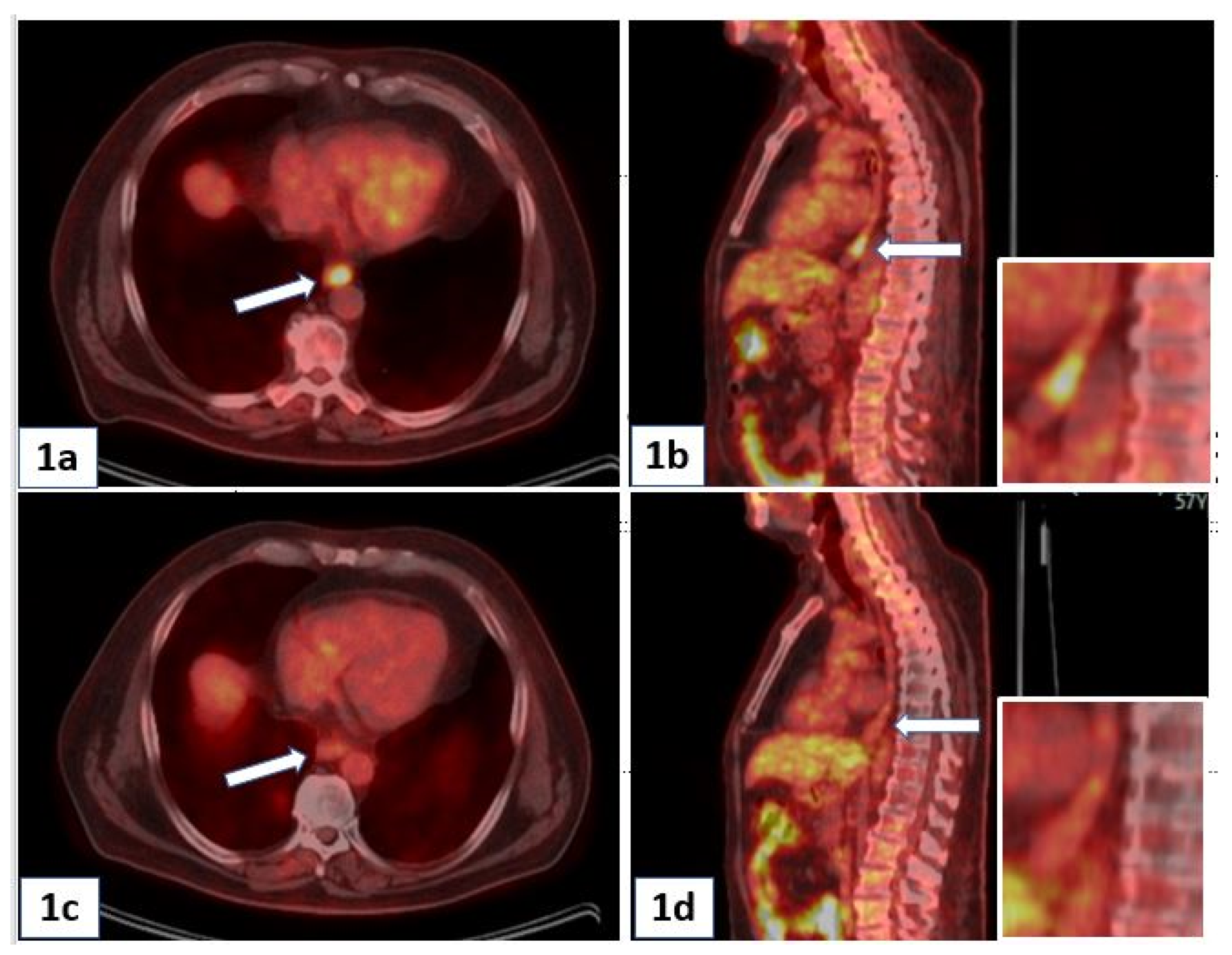 Preprints 75296 g001