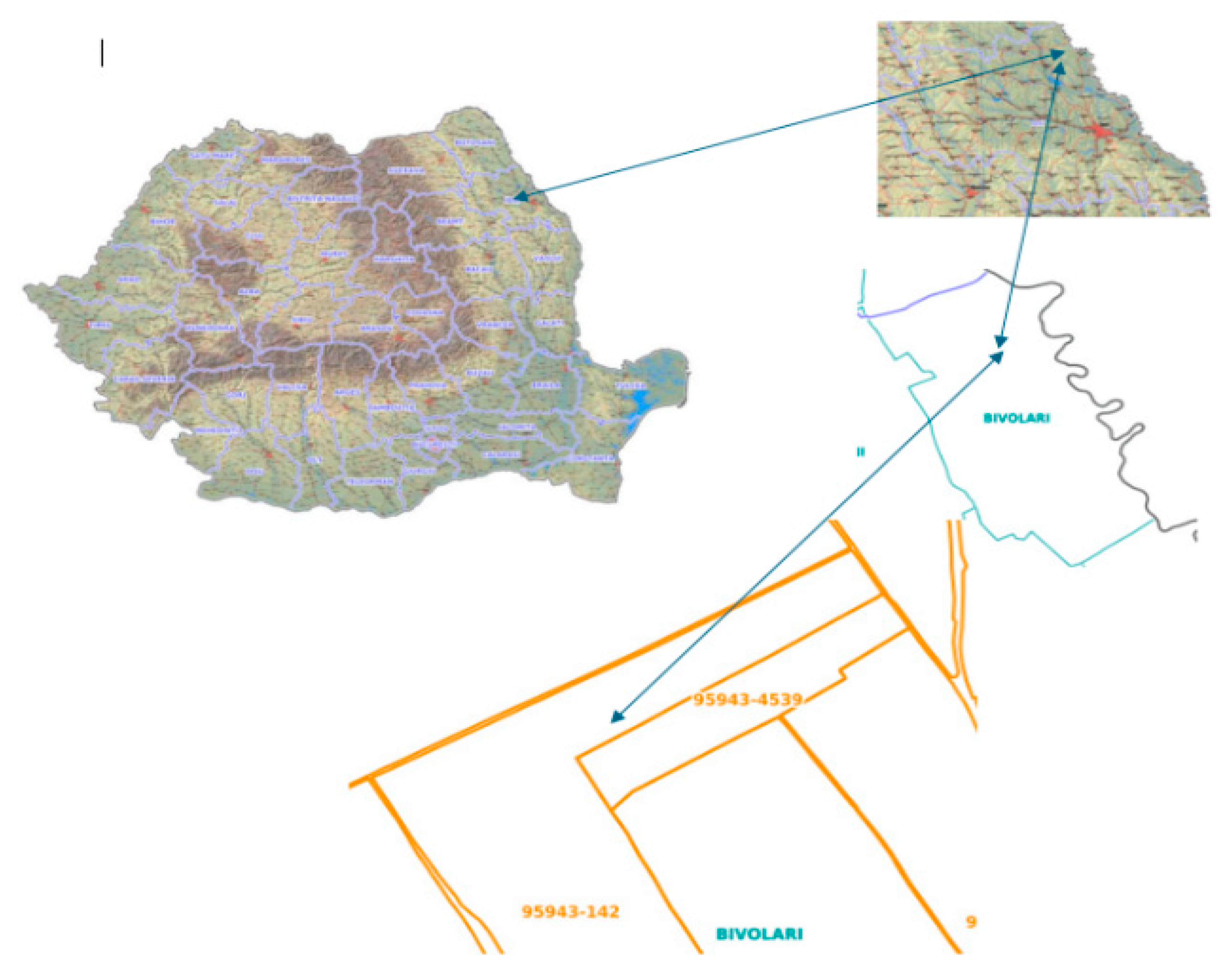 Preprints 185716 g001