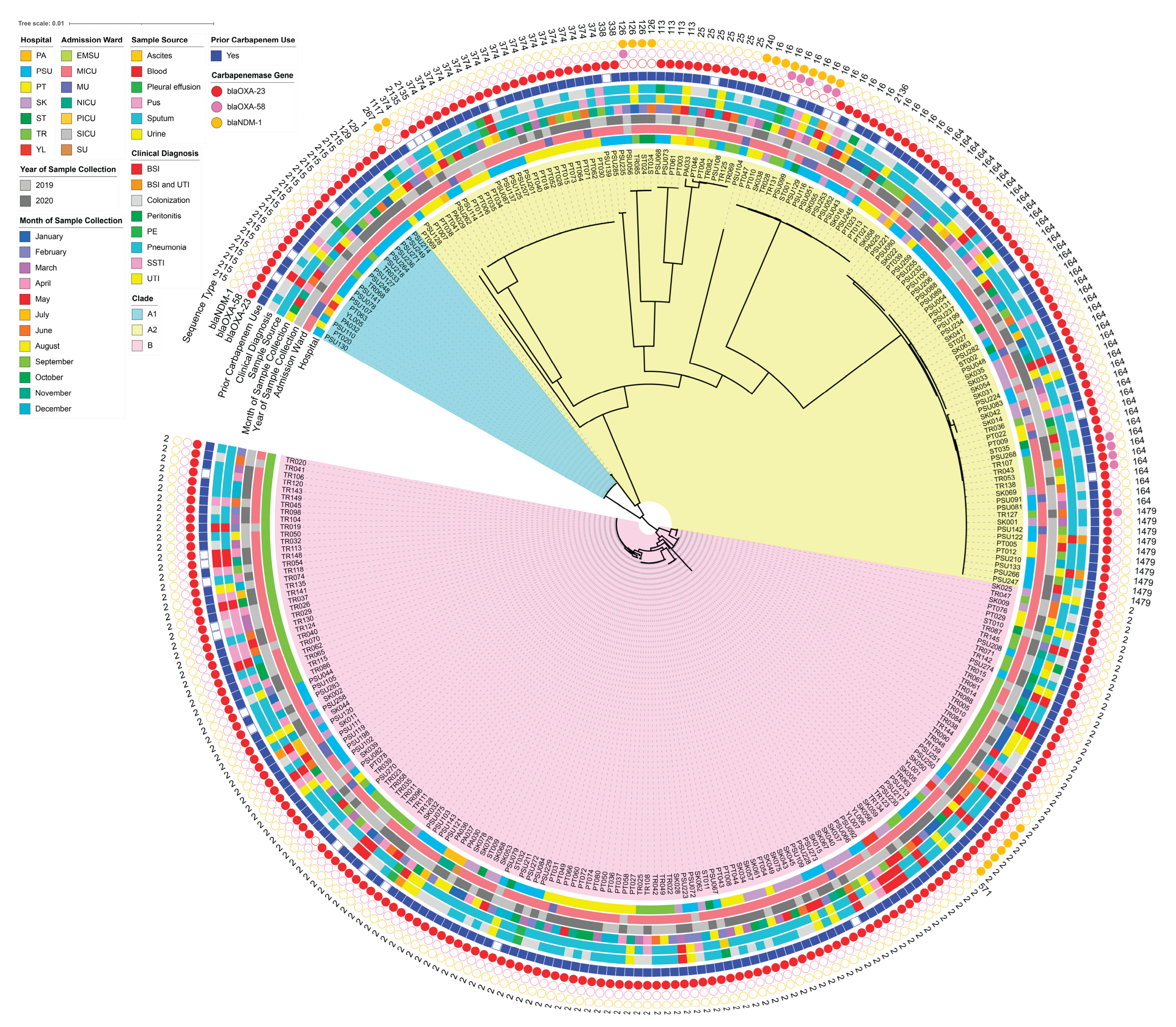 Preprints 195151 g008
