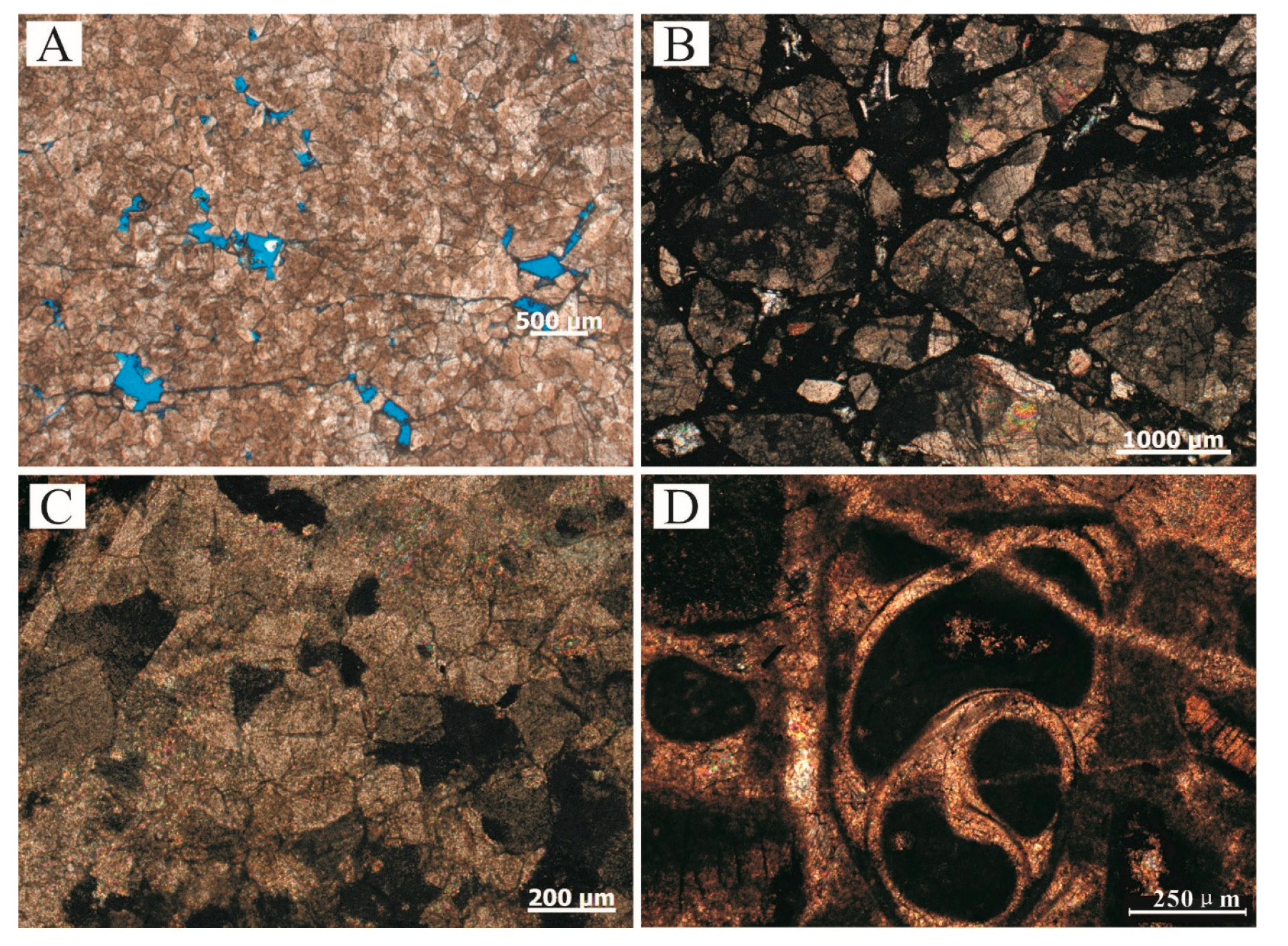 Preprints 211636 g006