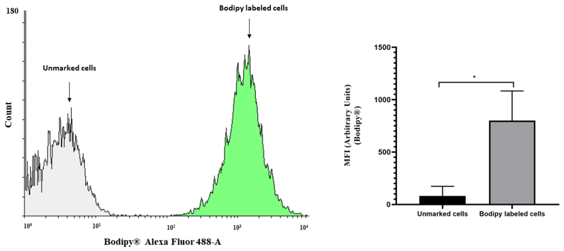 Preprints 214605 g004 Preprints 214605 g004