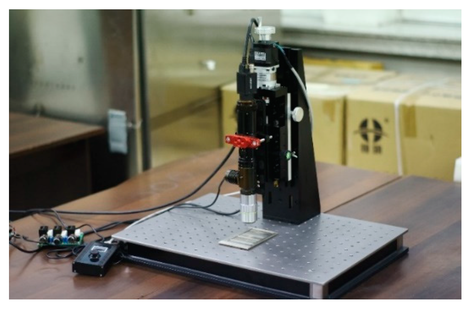 Preprints 154069 g005