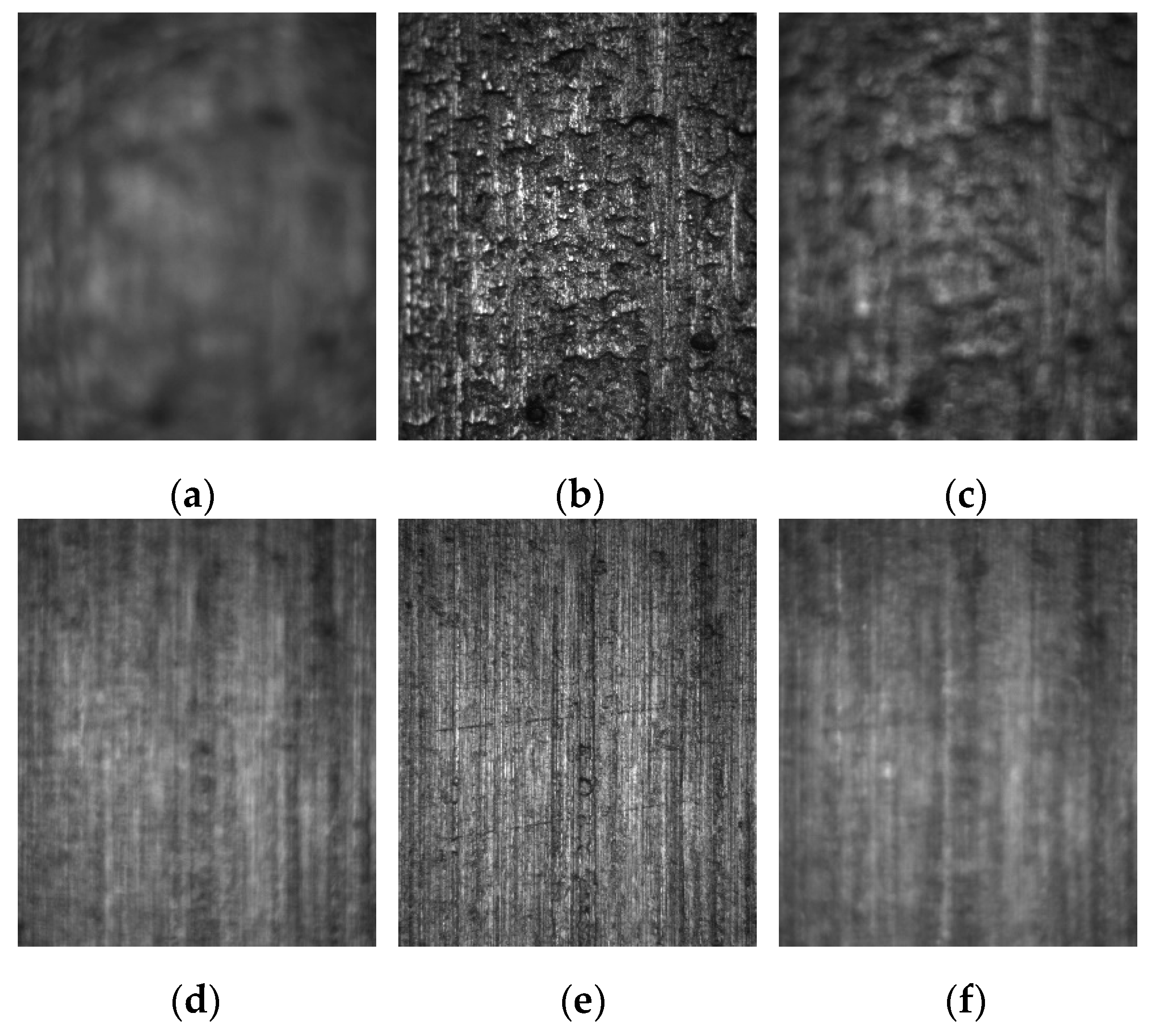 Preprints 154069 g006