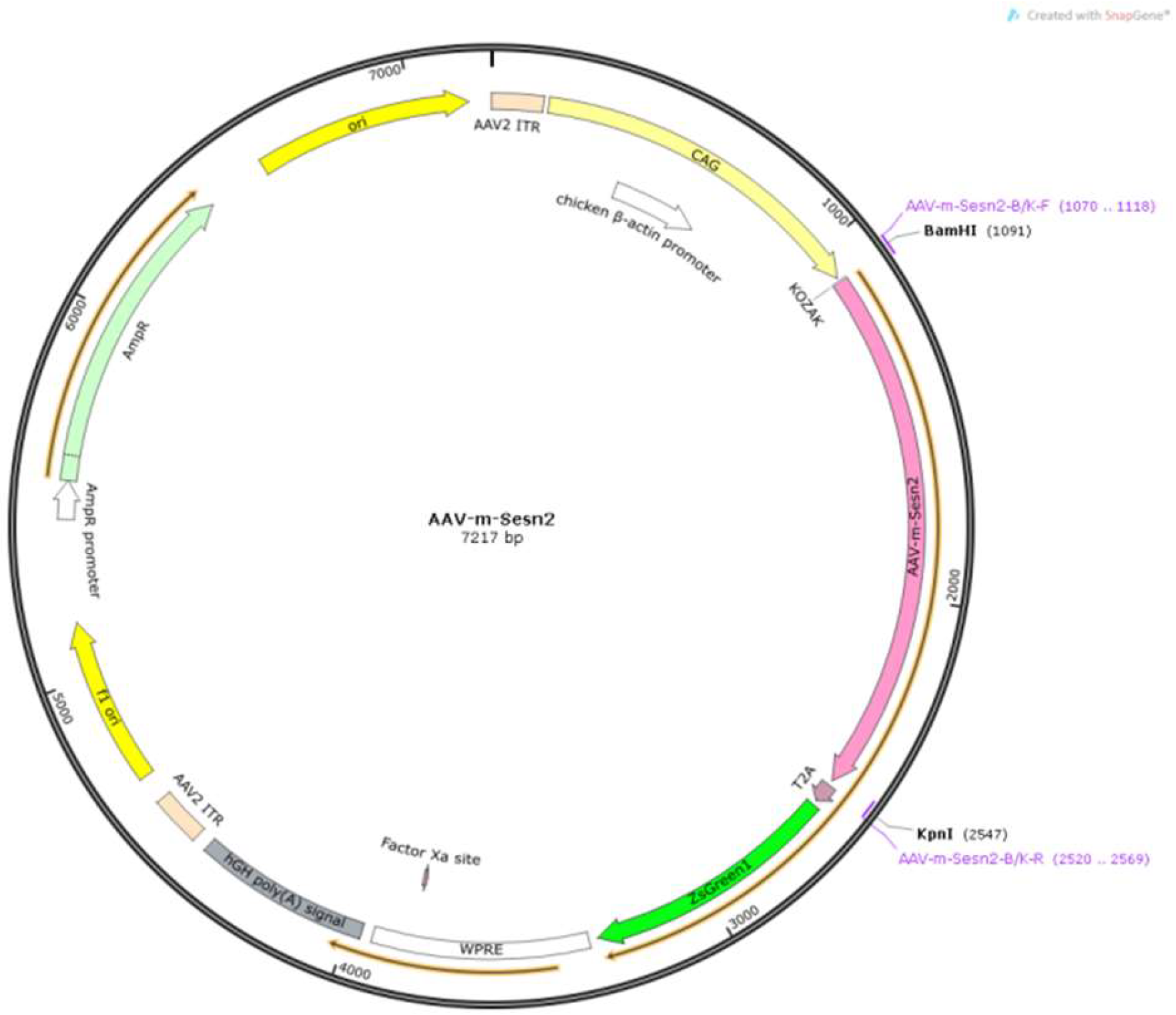 Preprints 139905 g001