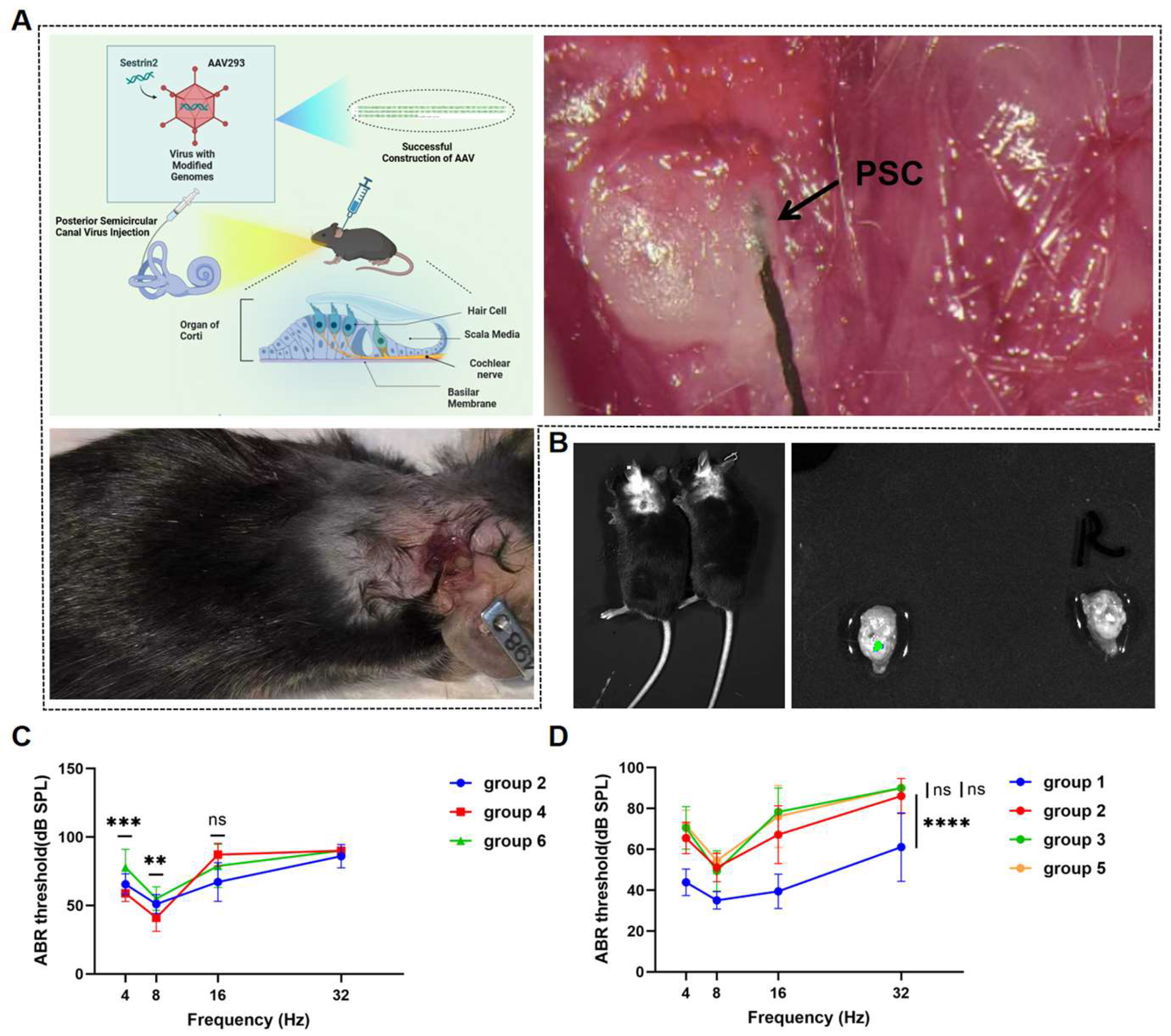 Preprints 139905 g002