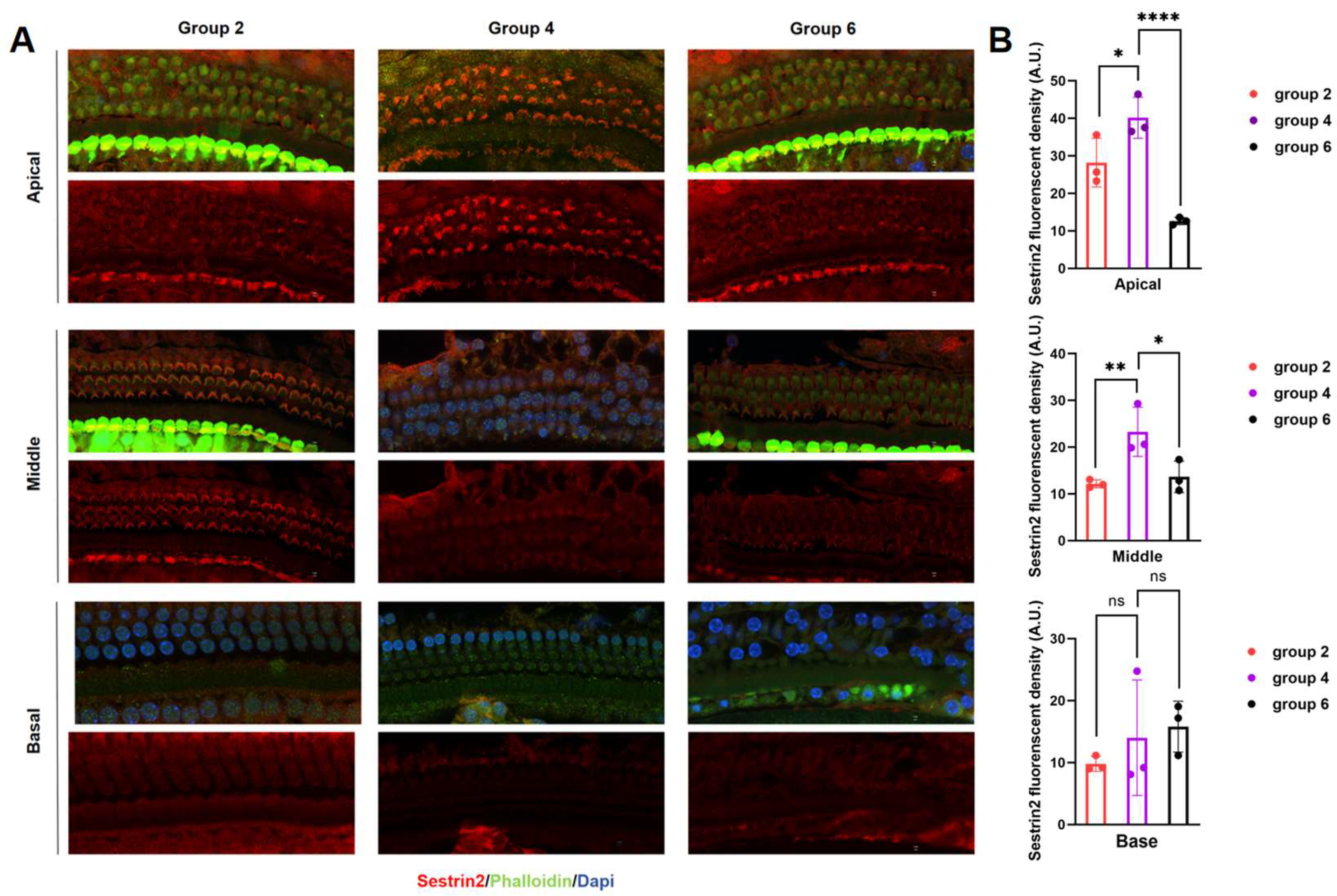 Preprints 139905 g003