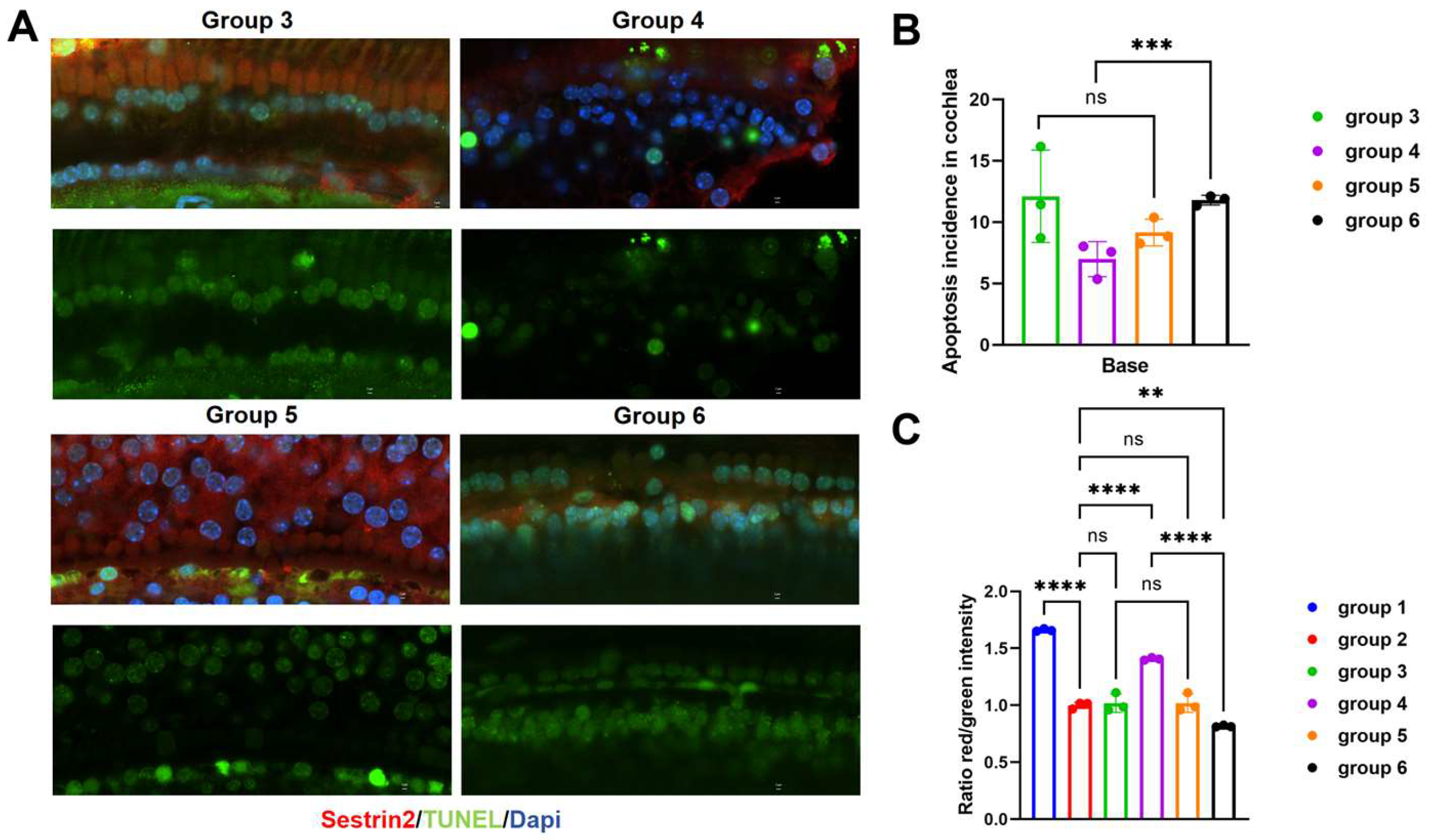 Preprints 139905 g004