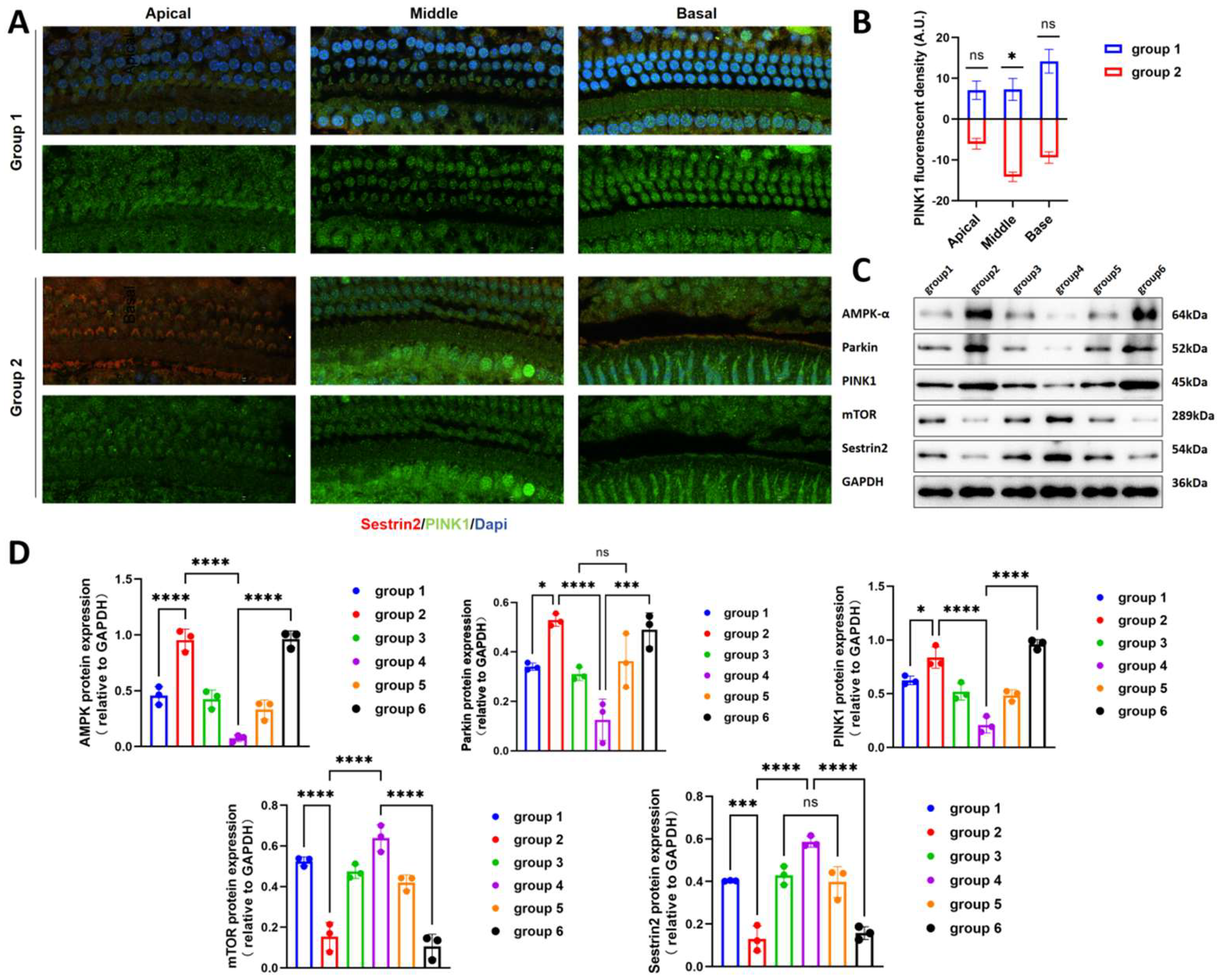 Preprints 139905 g005