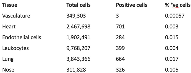 Preprints 185990 i001