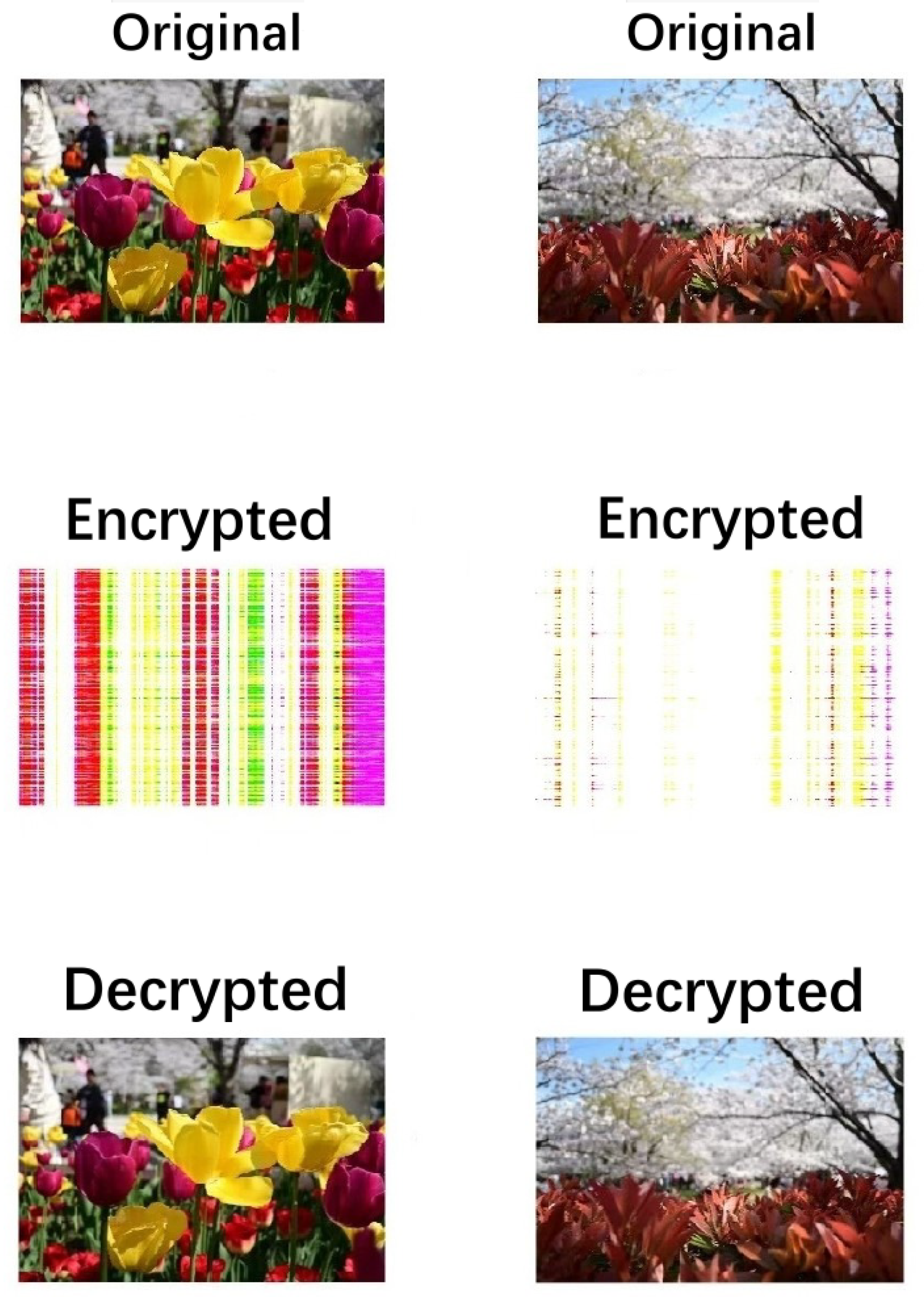 Preprints 154392 g002