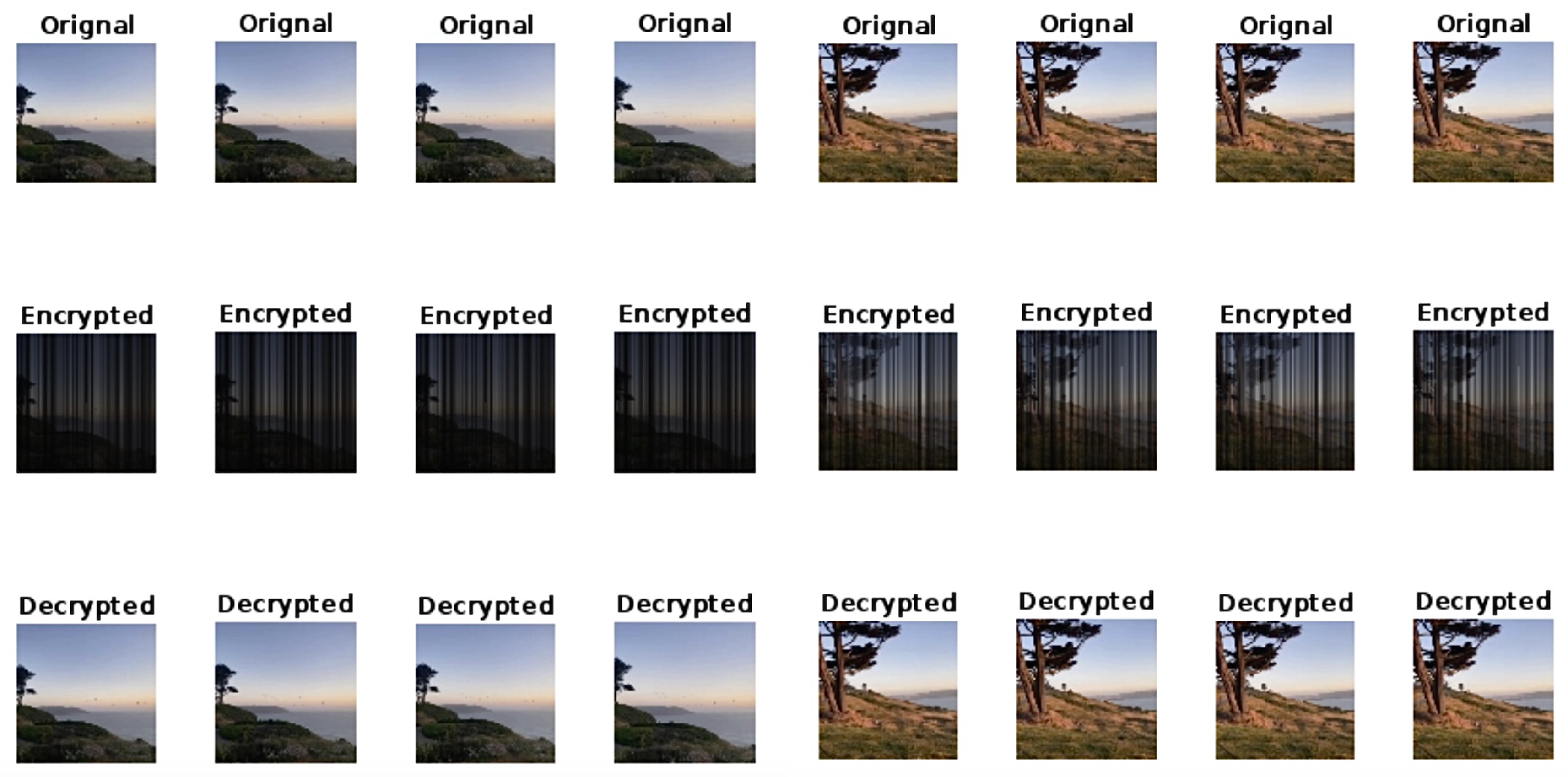 Preprints 154392 g003