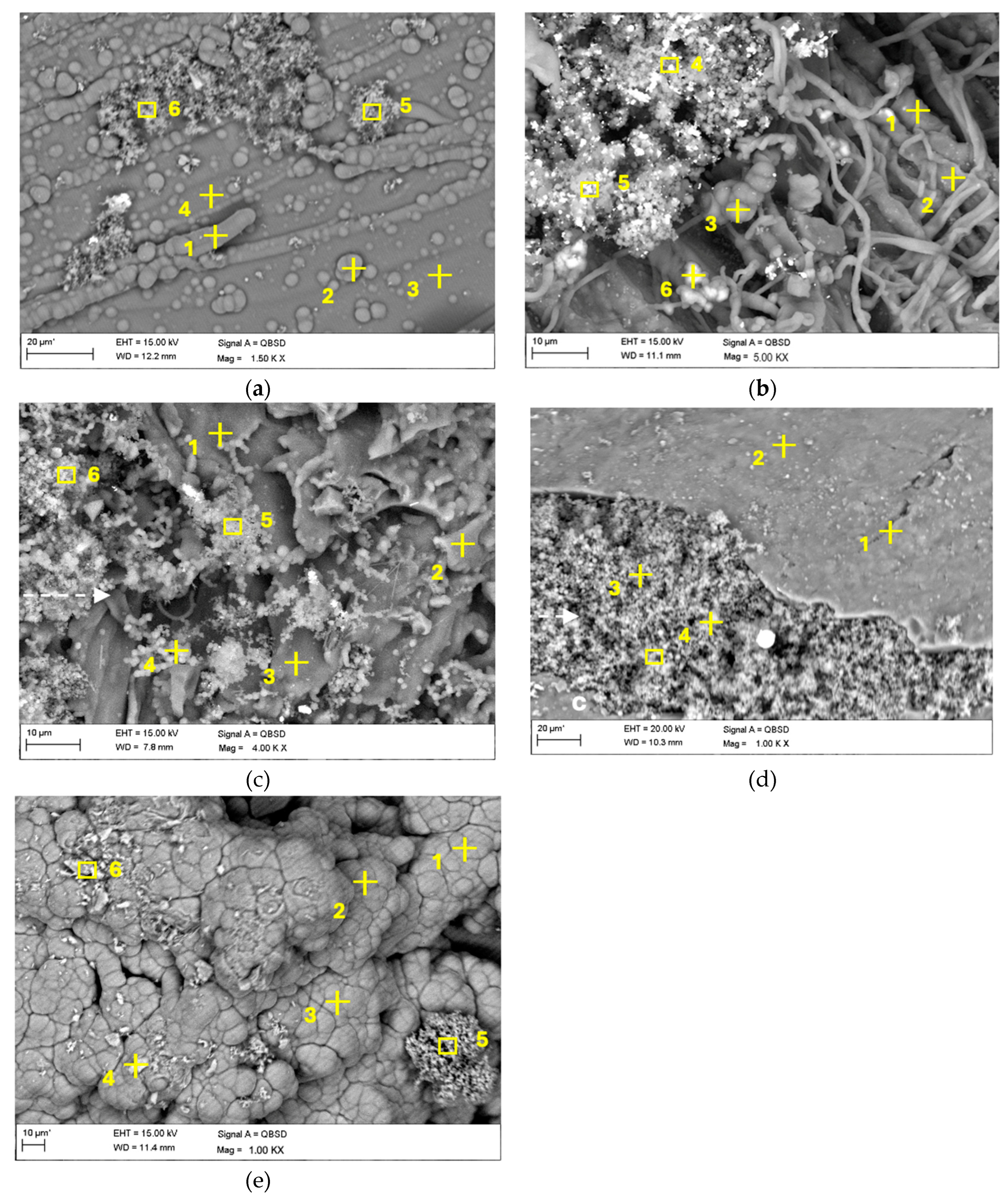 Preprints 141679 g007