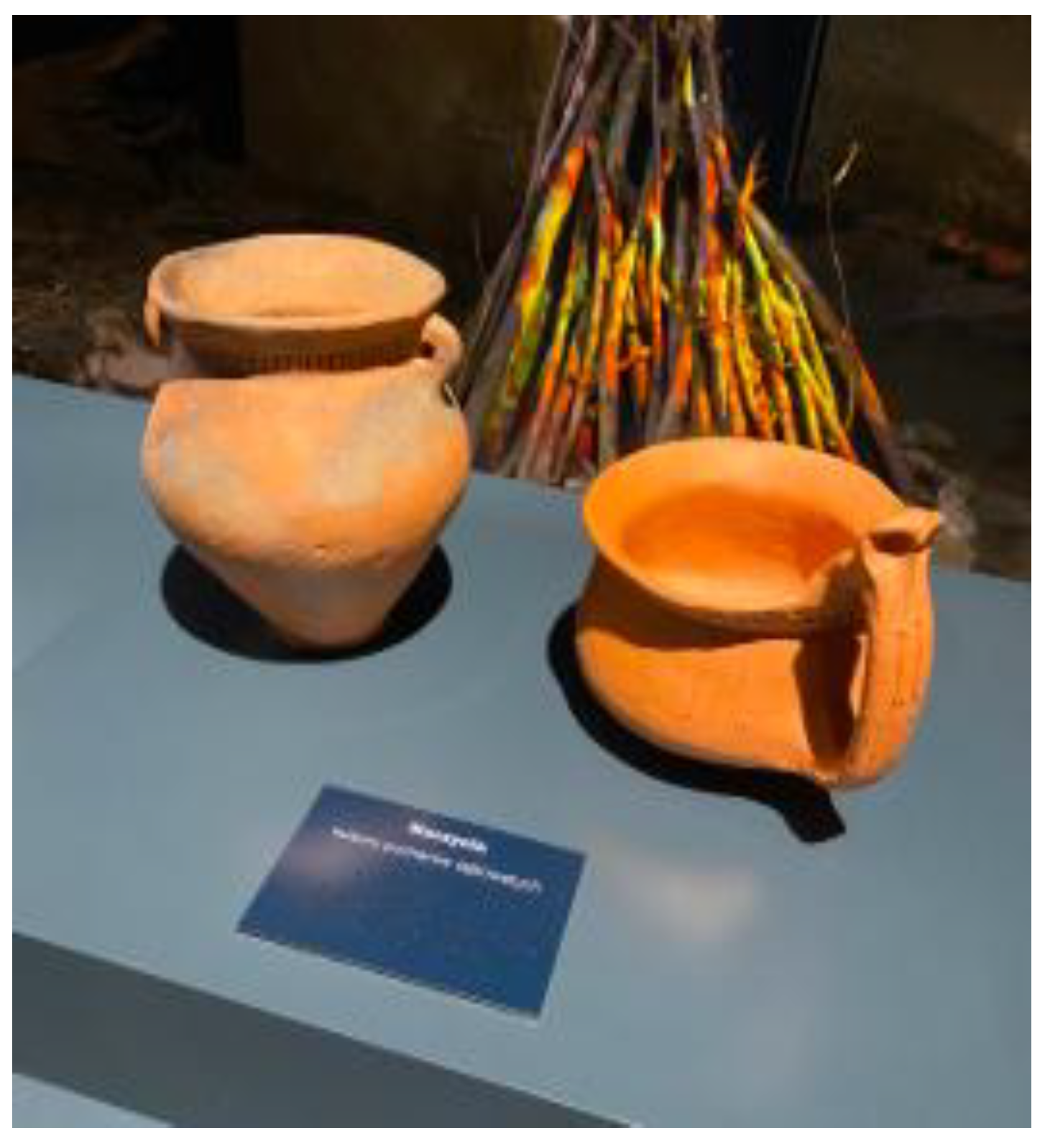 Preprints 153811 ch008