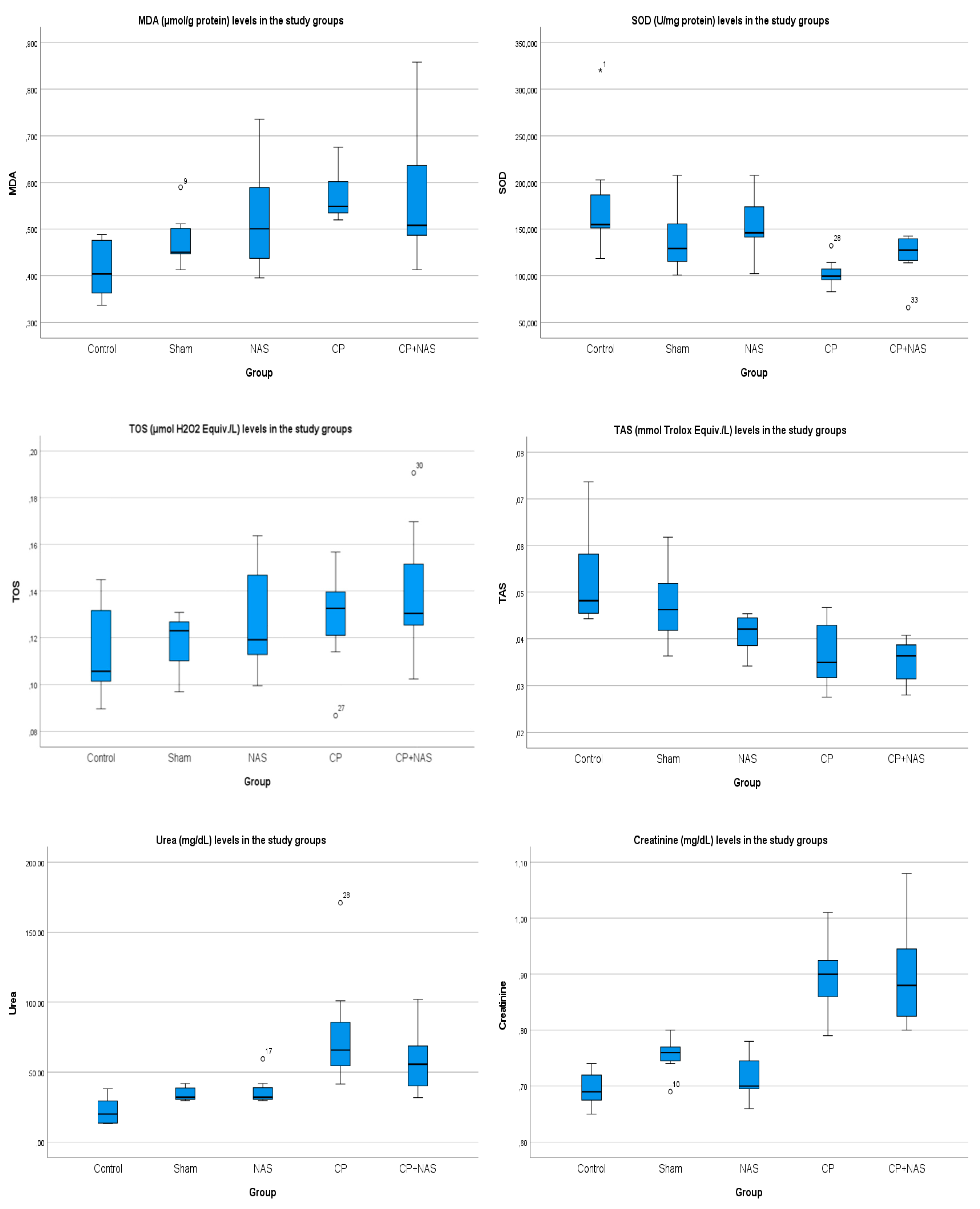 Preprints 197872 g001