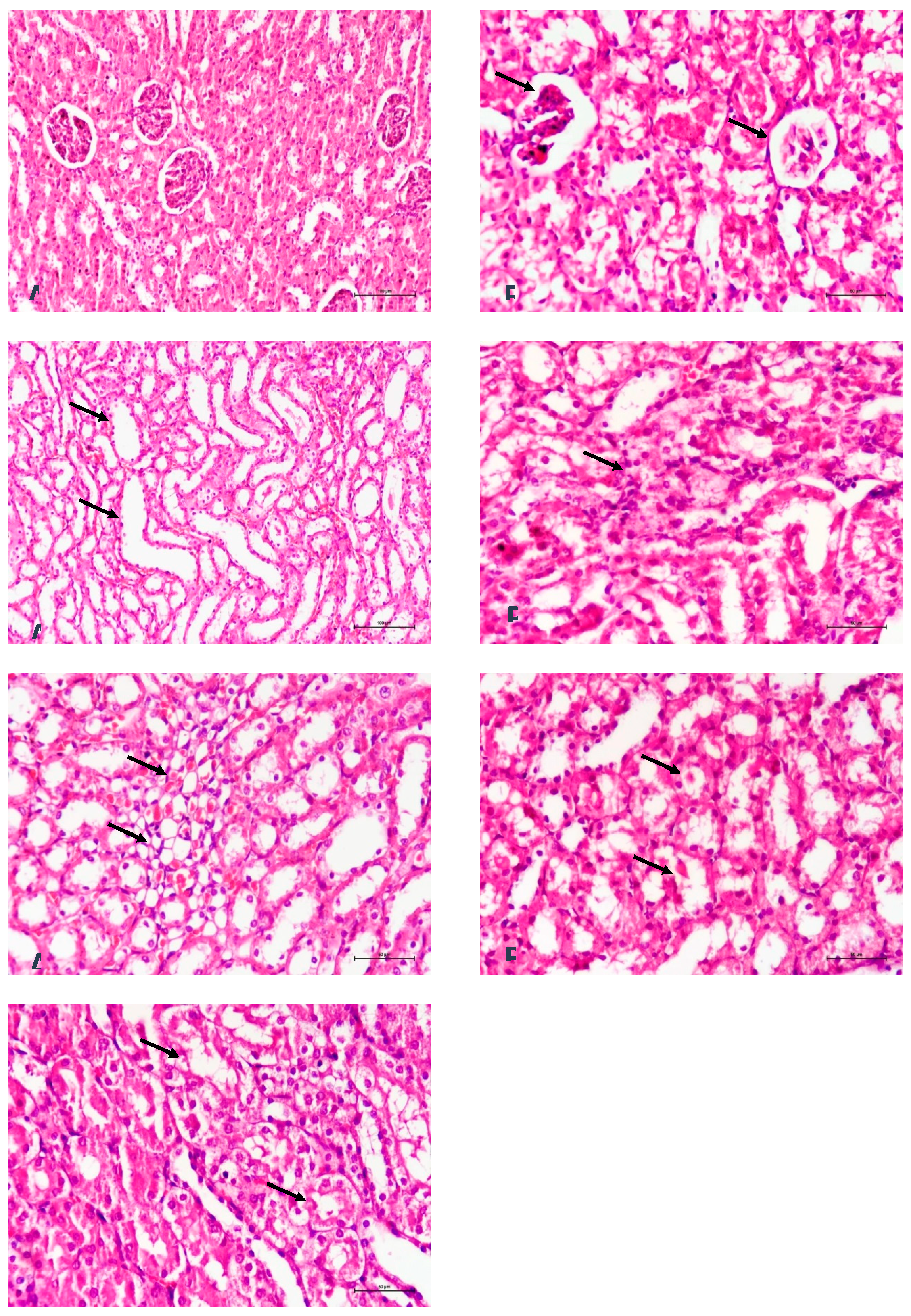 Preprints 197872 g002