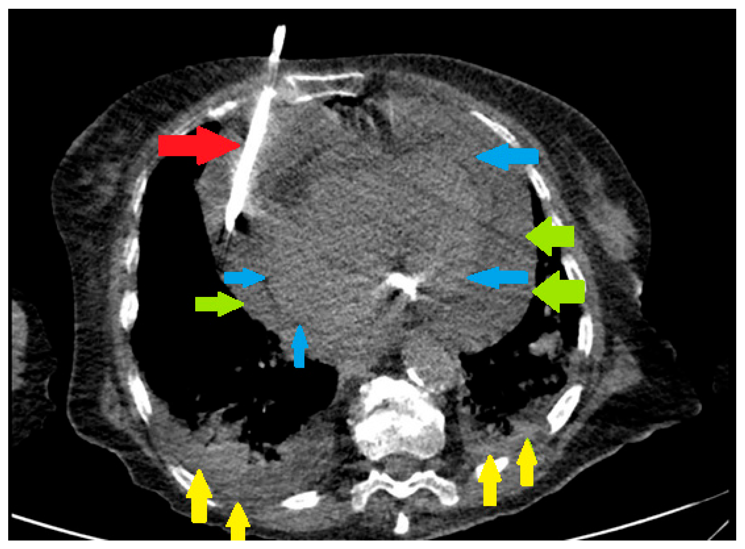 Preprints 195181 g001