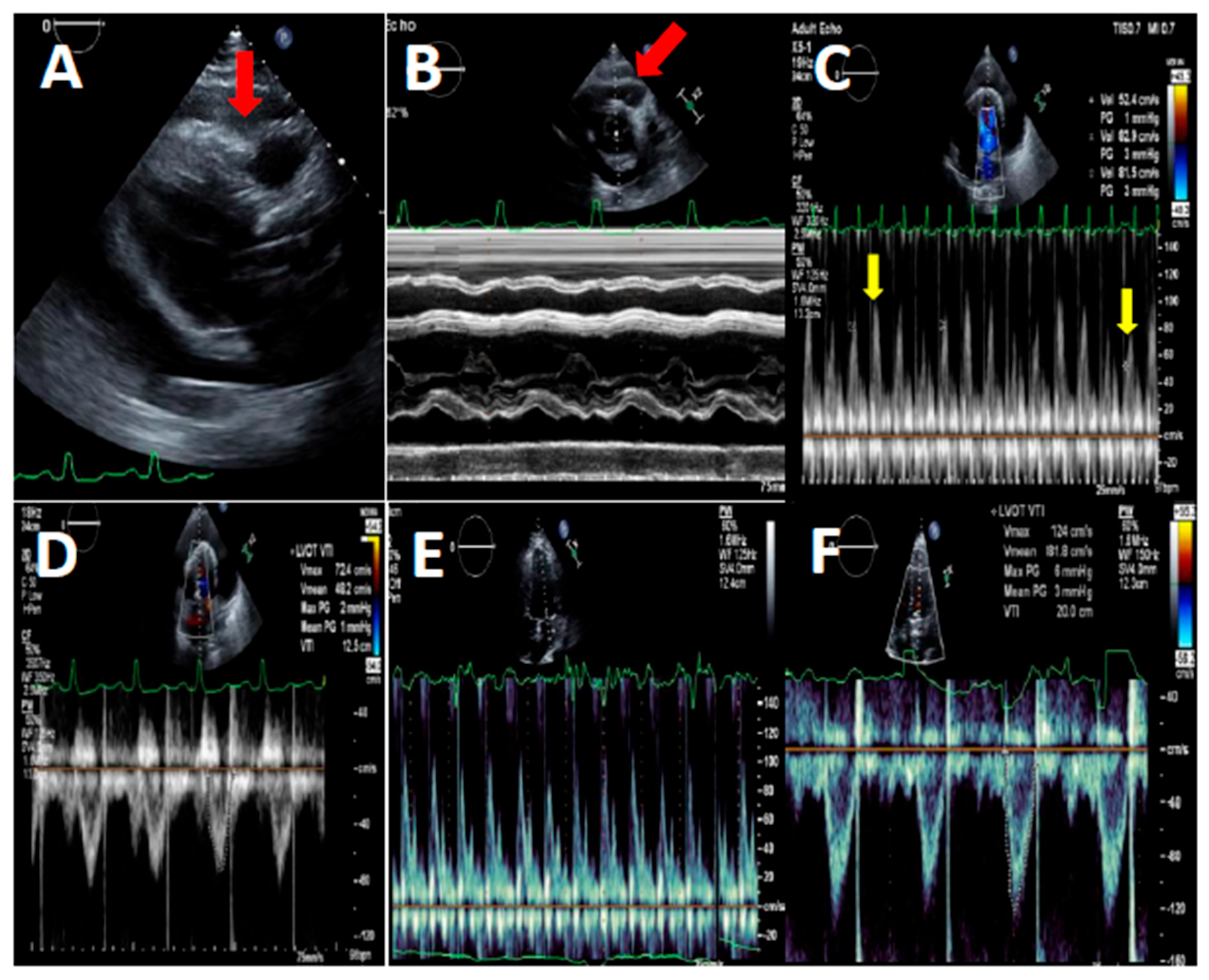 Preprints 195181 g002