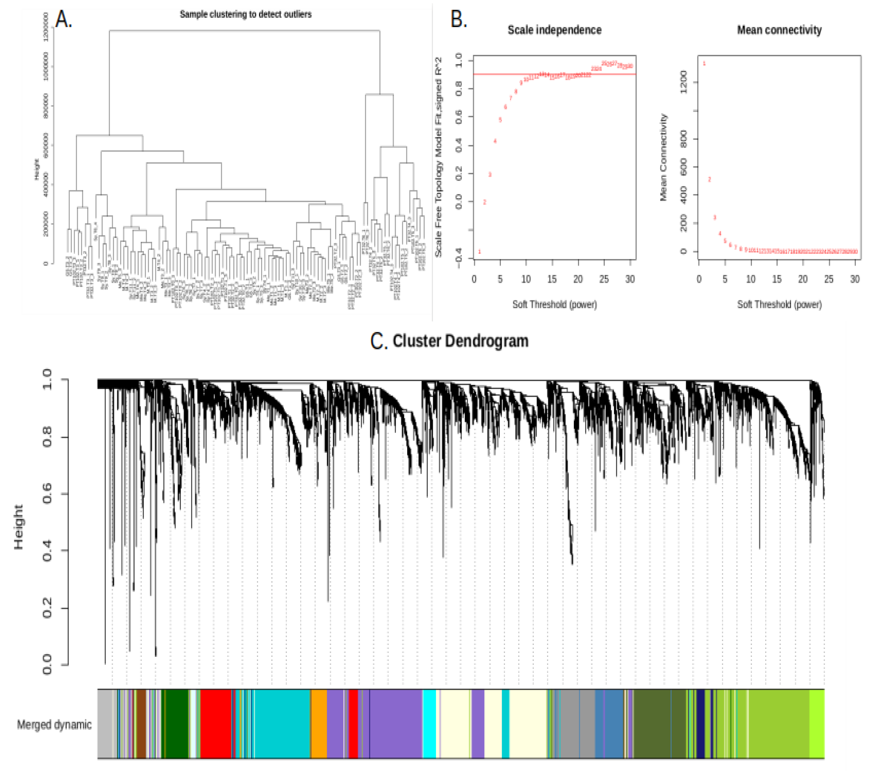 Preprints 108503 g004