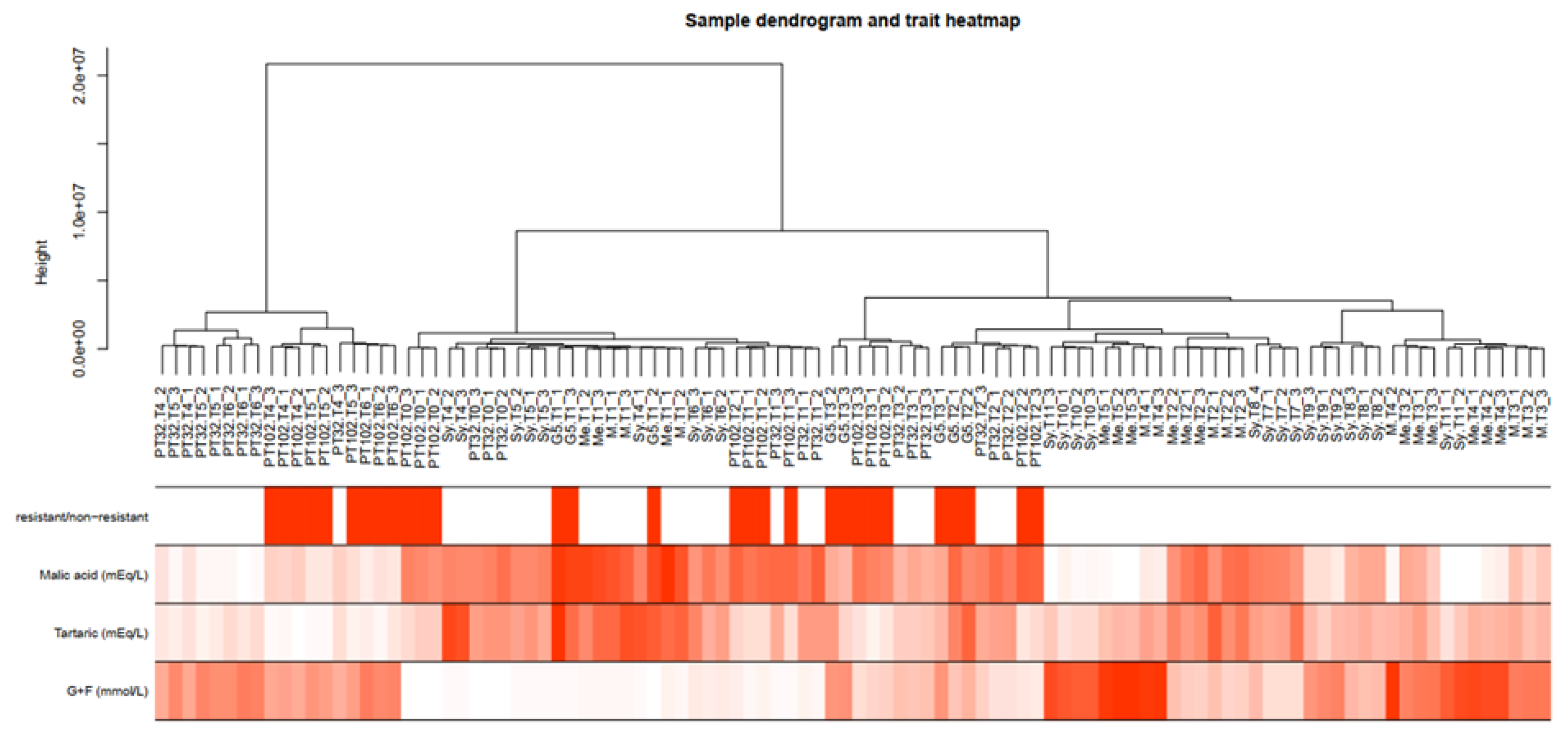 Preprints 108503 g005