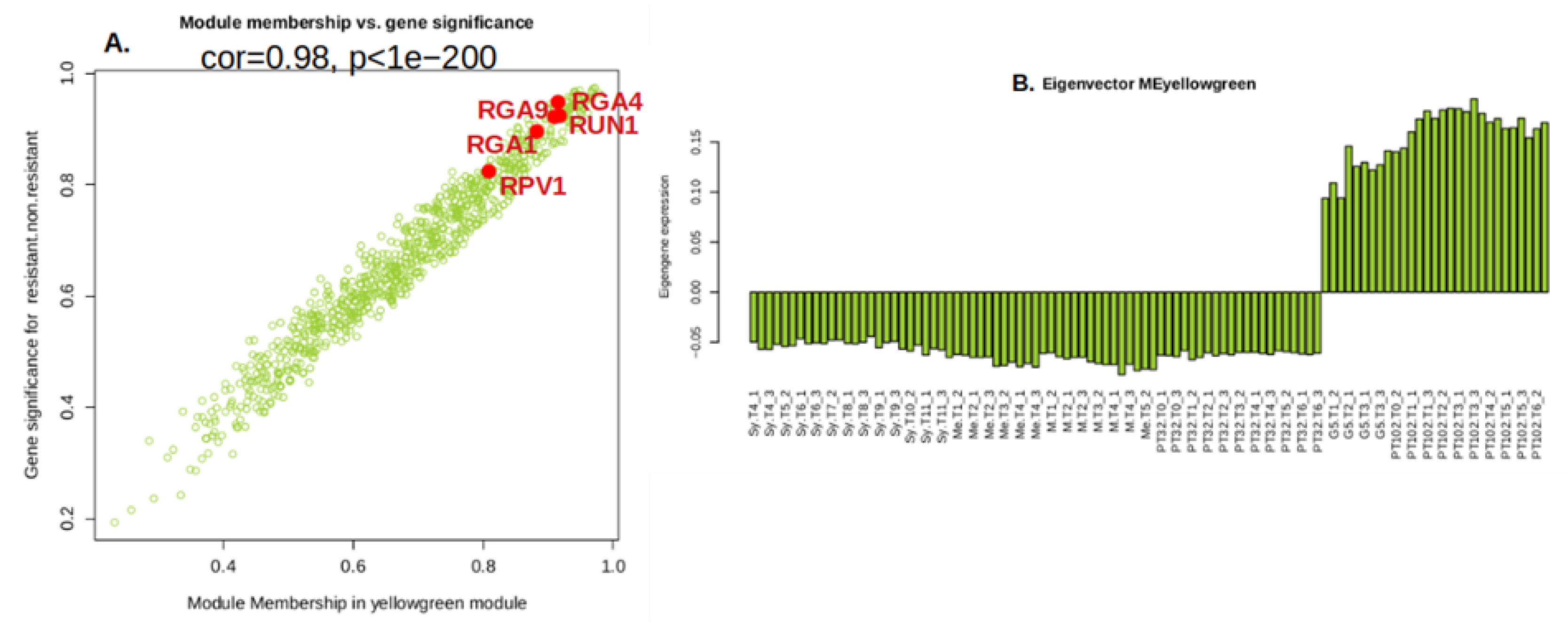 Preprints 108503 g007
