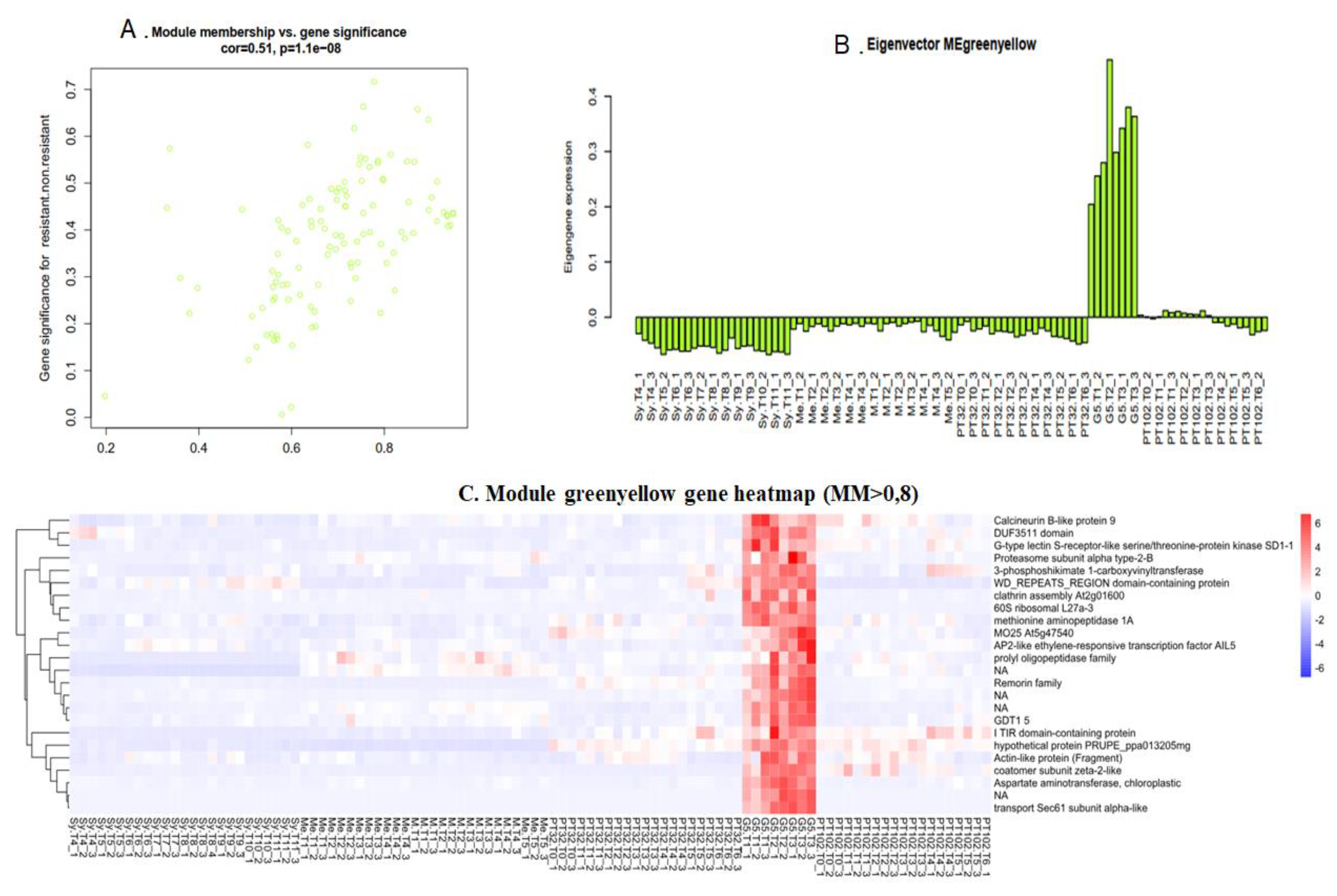 Preprints 108503 g009